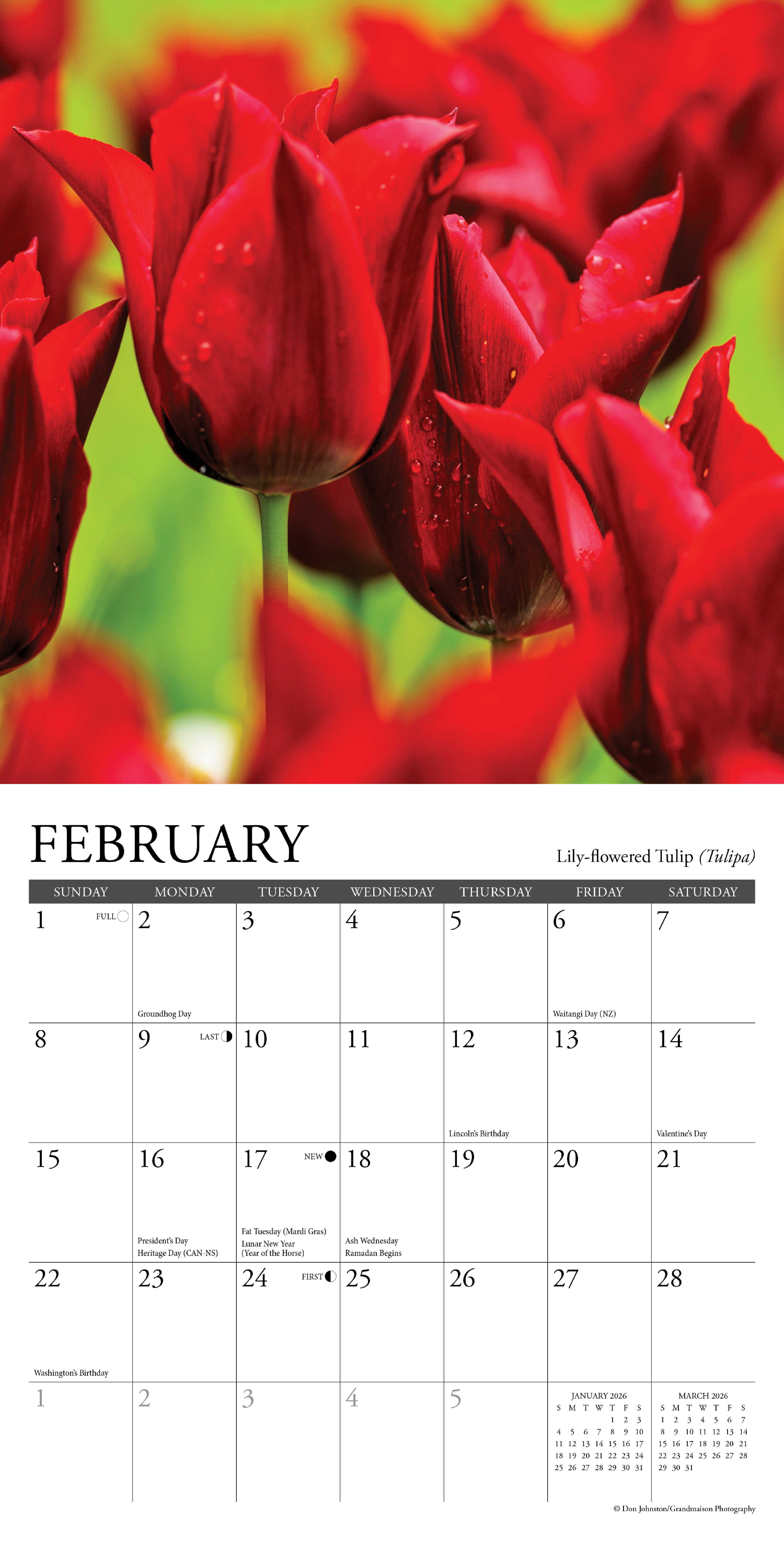 2026 Flowers - Mini Wall Calendar