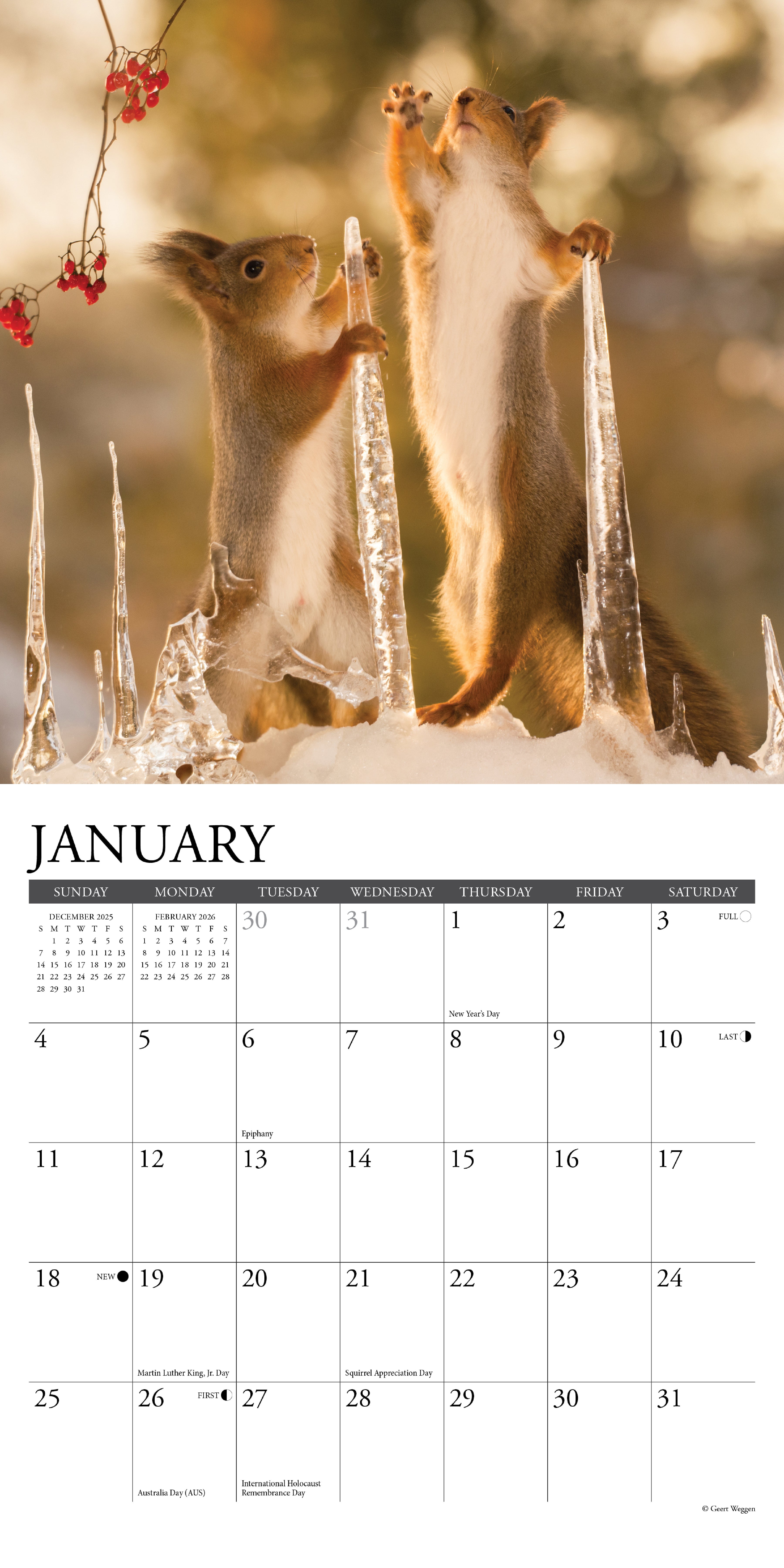 2026 Gettin' Squirrelly - Mini Wall Calendar
