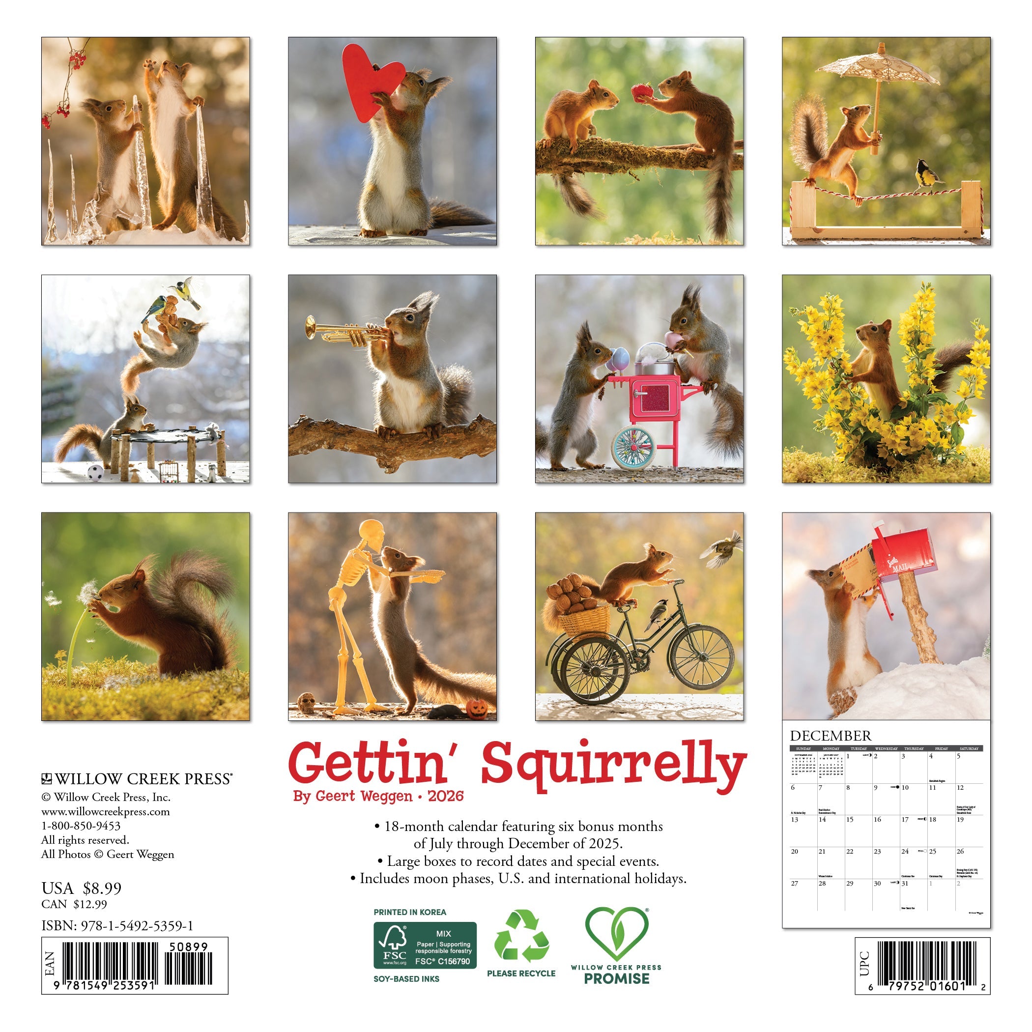2026 Gettin' Squirrelly - Mini Wall Calendar