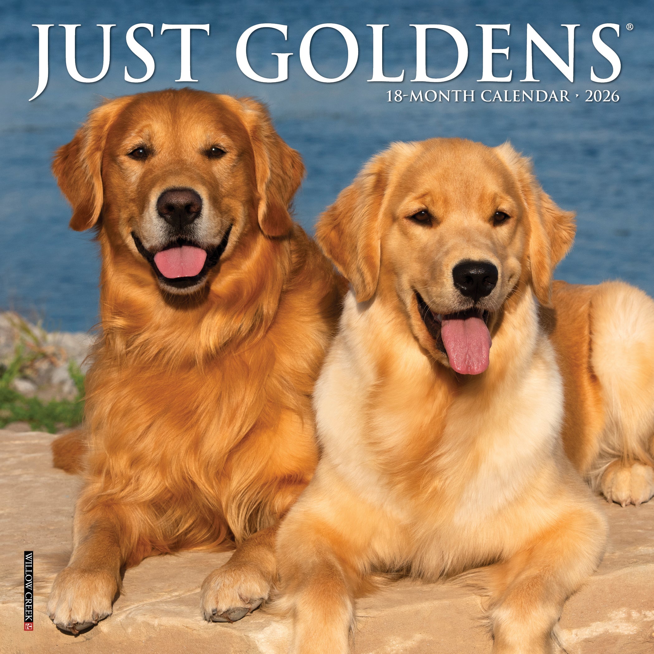2026 Goldens - Mini Wall Calendar