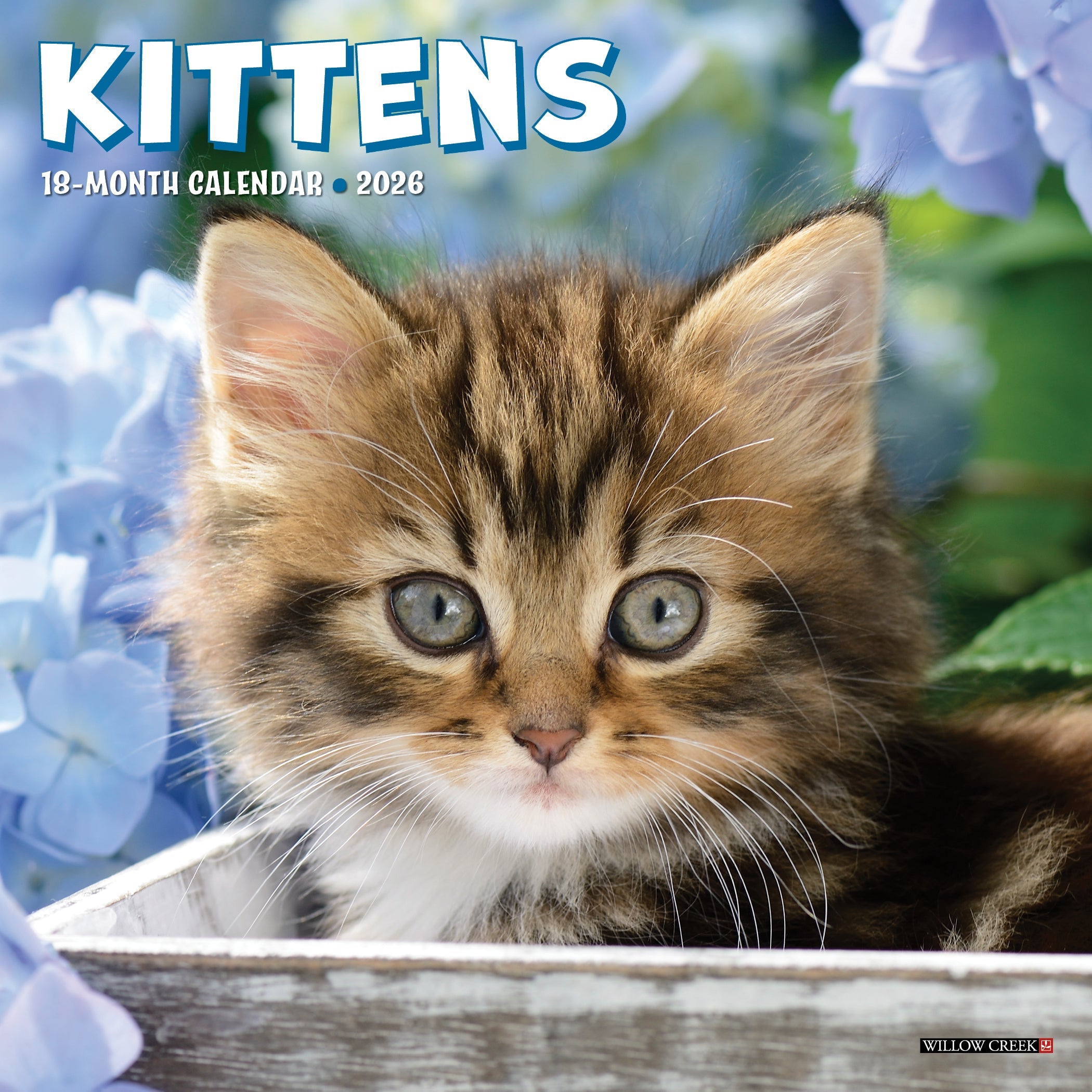 2026 Kittens - Mini Wall Calendar