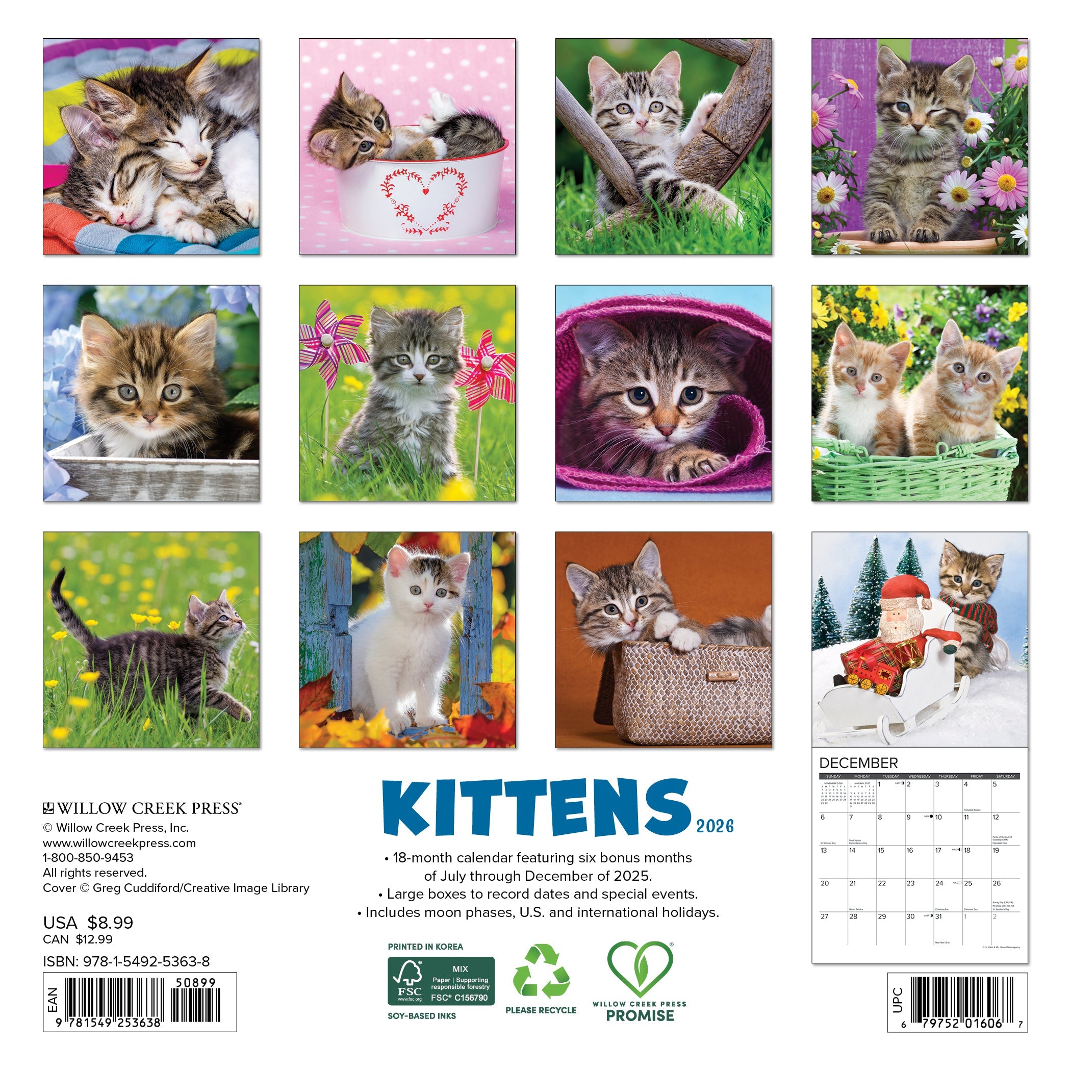 2026 Kittens - Mini Wall Calendar