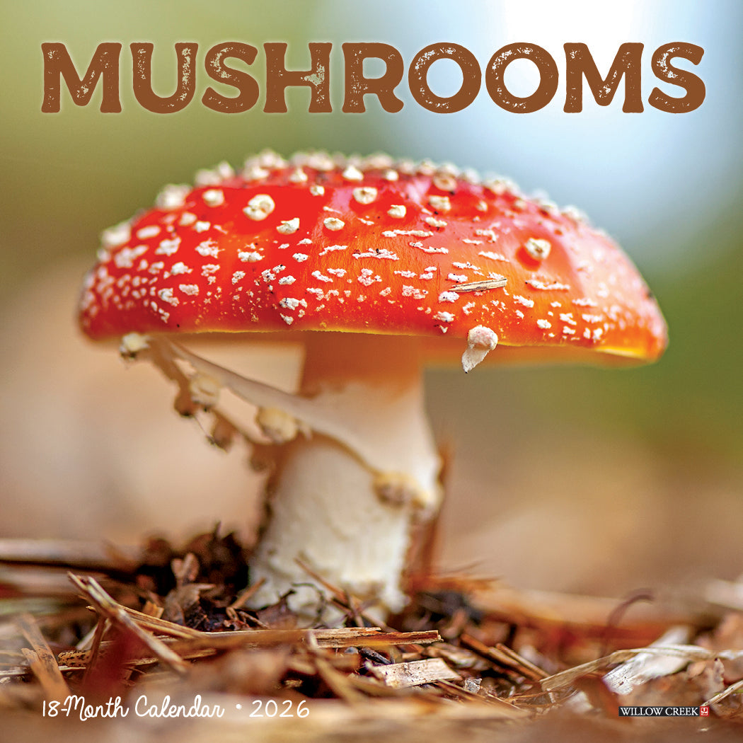 2026 Mushrooms - Mini Wall Calendar