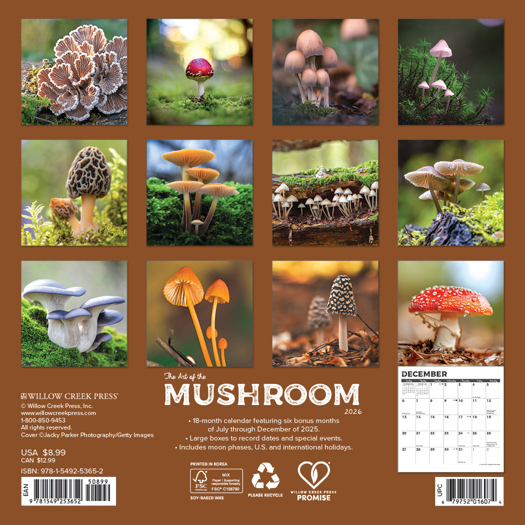2026 Mushrooms - Mini Wall Calendar