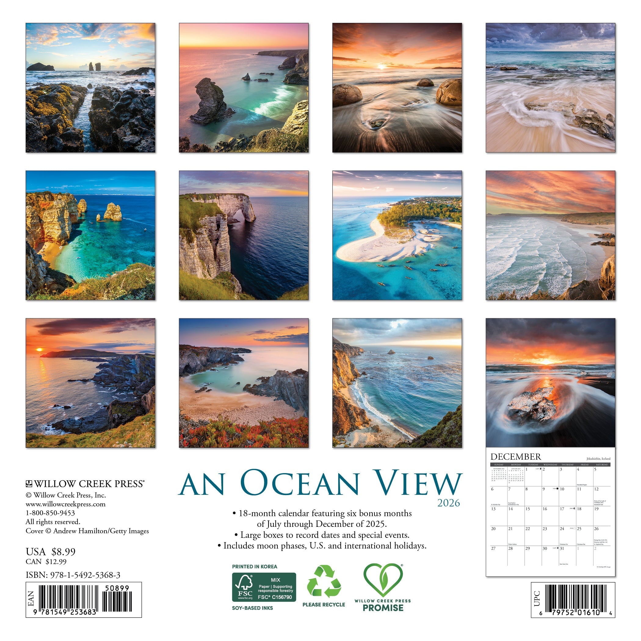 2026 Ocean View - Mini Wall Calendar