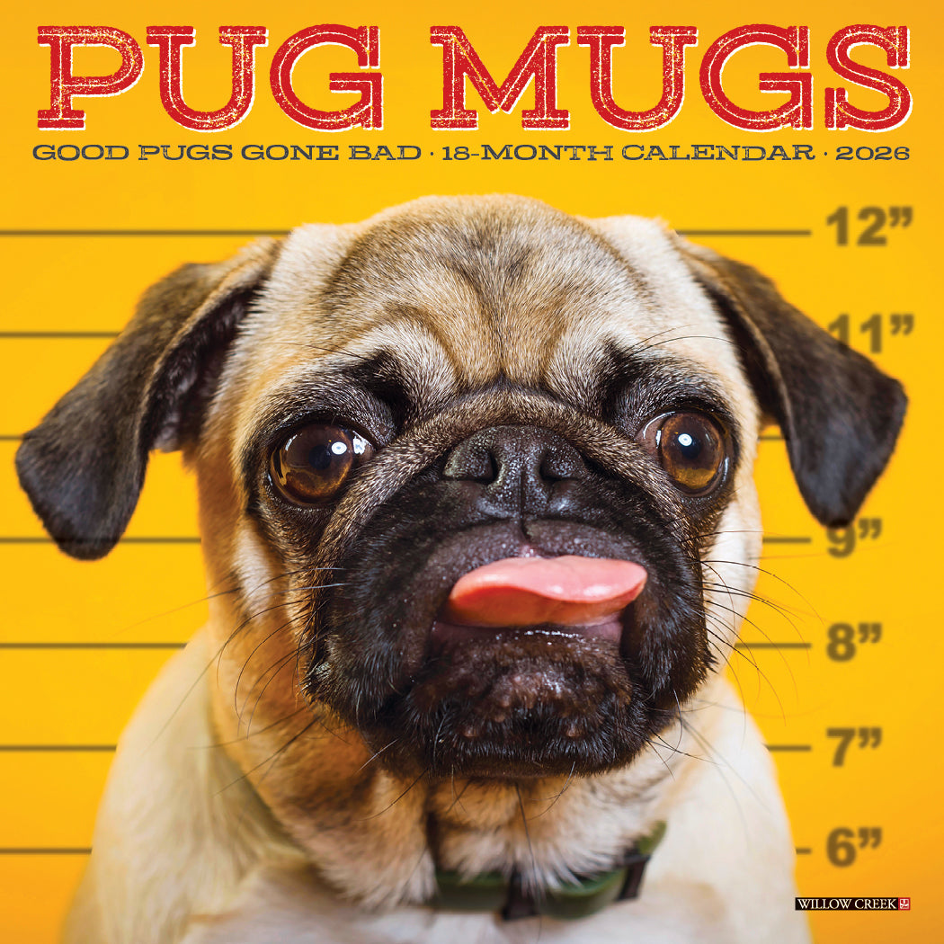 2026 Pug Mugs - Mini Wall Calendar