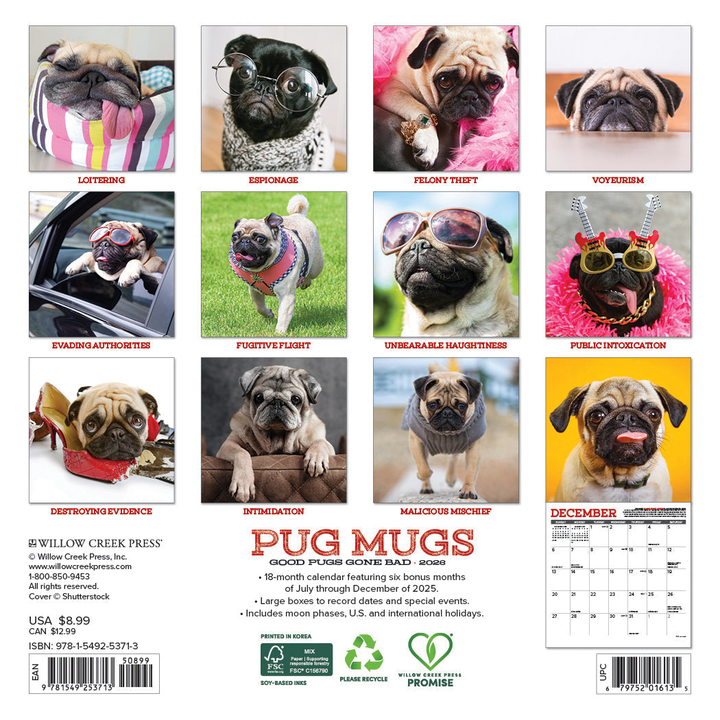 2026 Pug Mugs - Mini Wall Calendar