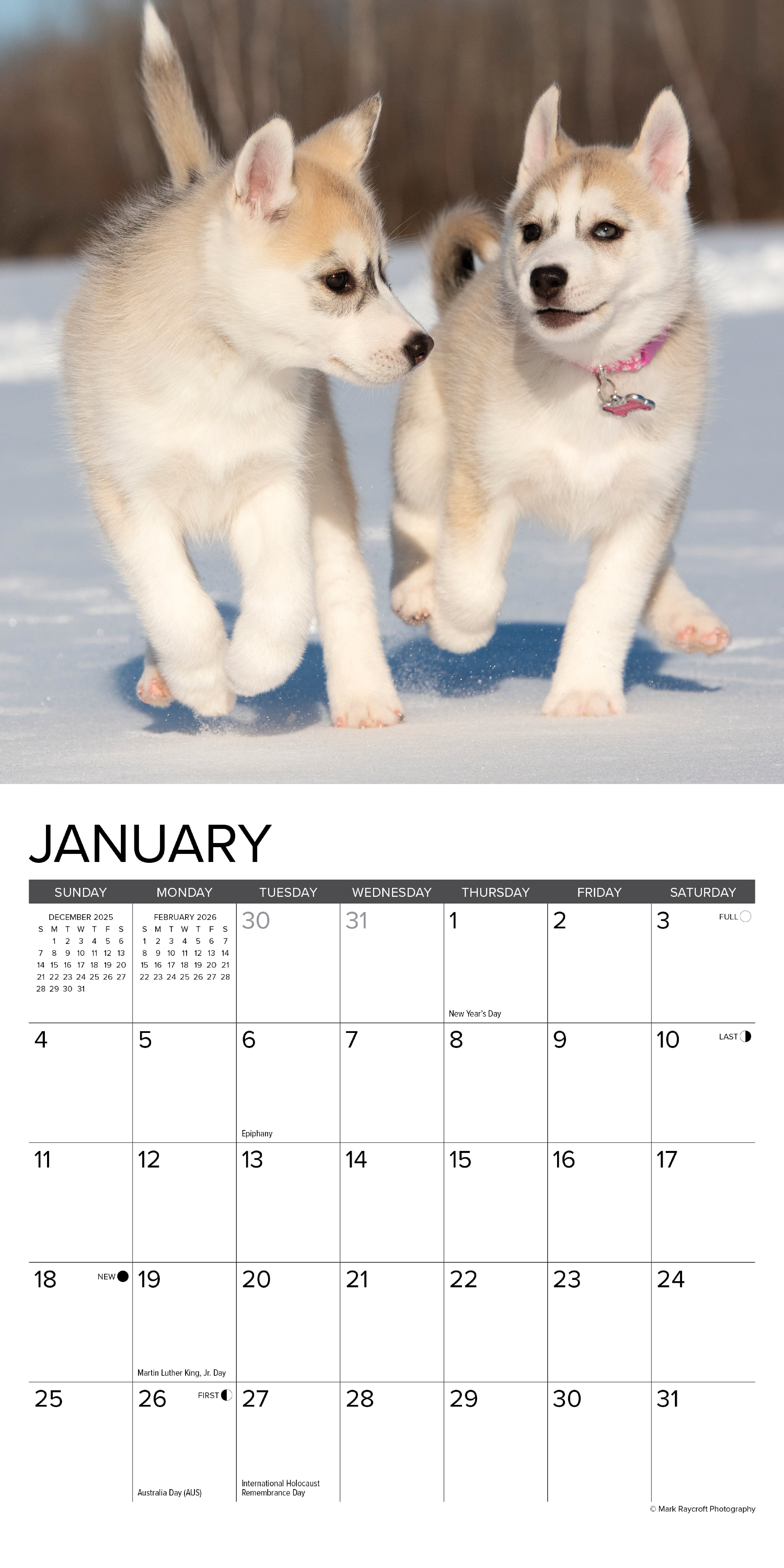 2026 Puppies - Mini Wall Calendar