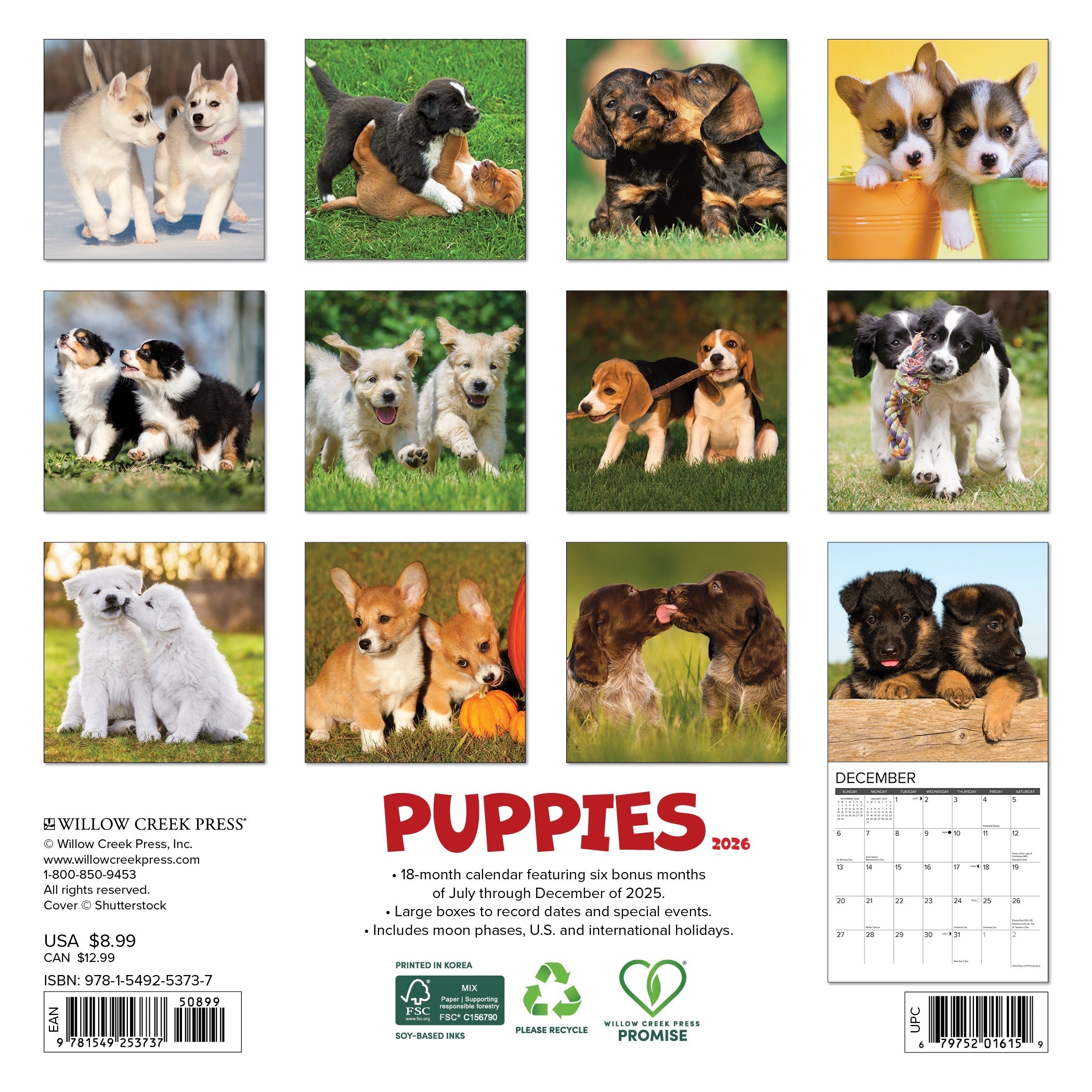 2026 Puppies - Mini Wall Calendar