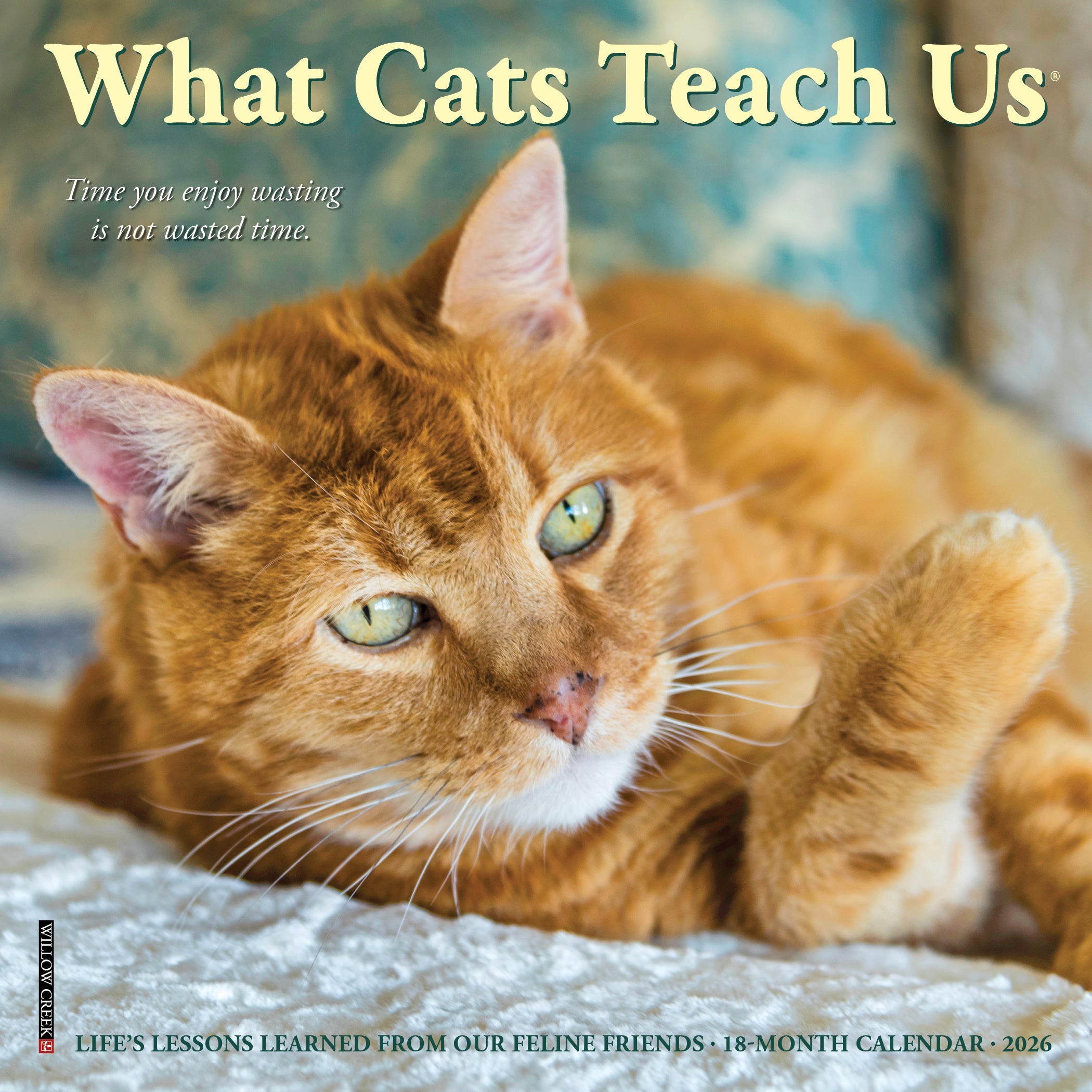 2026 What Cats Teach Us - Mini Wall Calendar