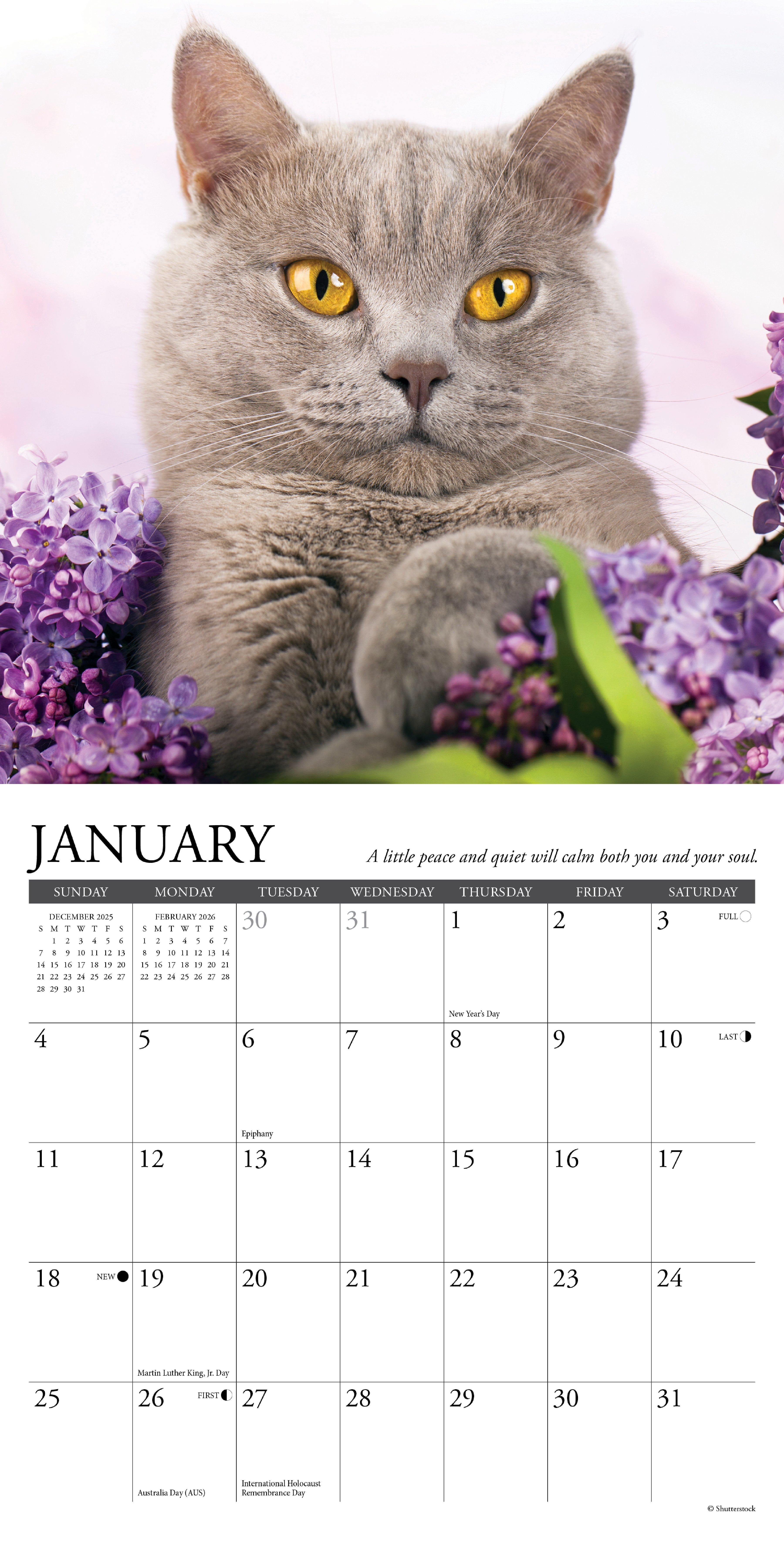 2026 What Cats Teach Us - Mini Wall Calendar