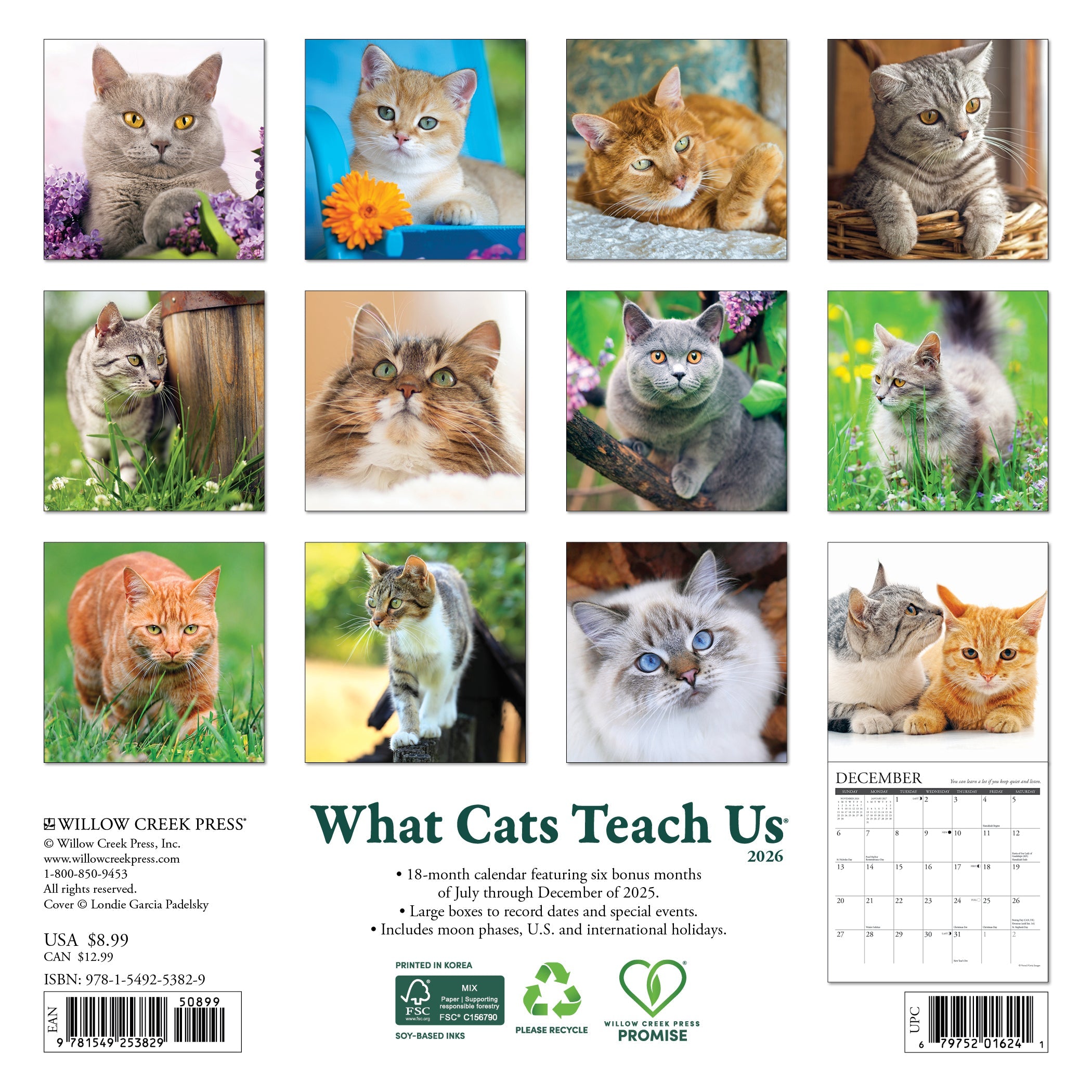2026 What Cats Teach Us - Mini Wall Calendar