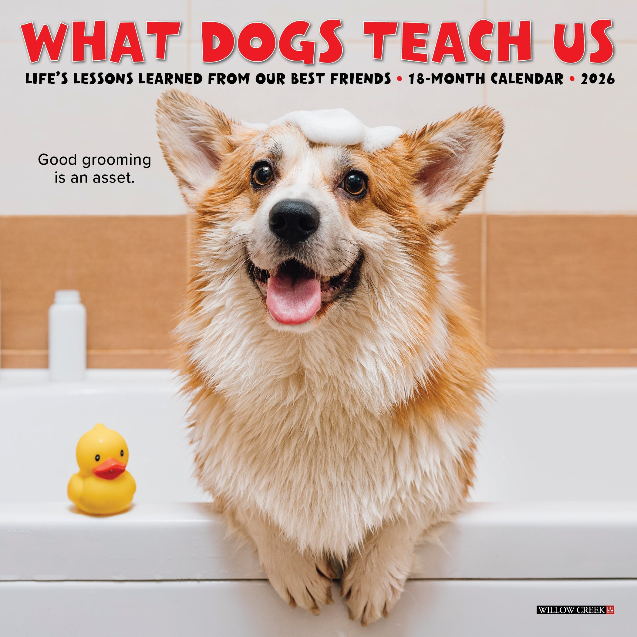 2026 What Dogs Teach Us - Mini Wall Calendar