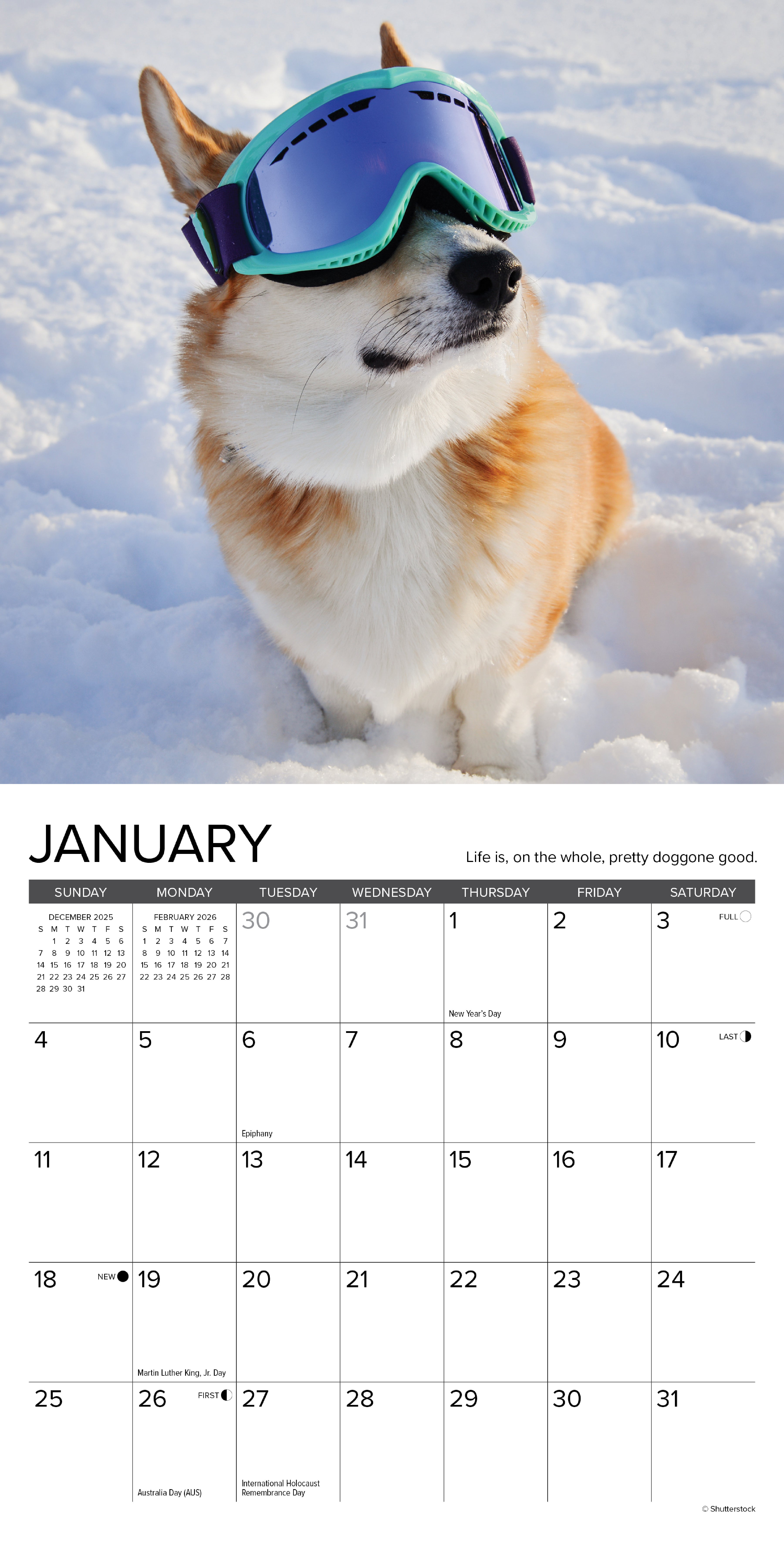 2026 What Dogs Teach Us - Mini Wall Calendar