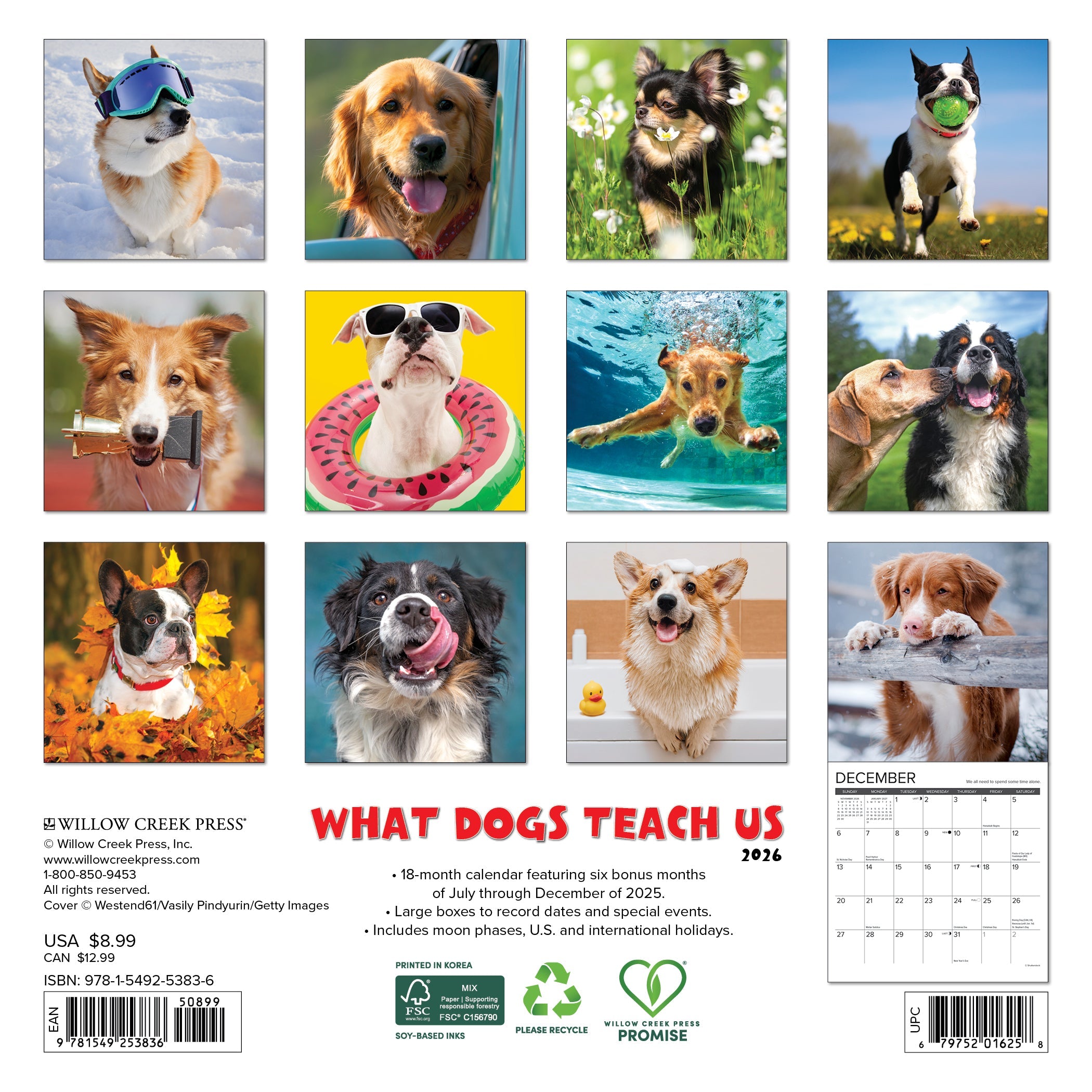 2026 What Dogs Teach Us - Mini Wall Calendar