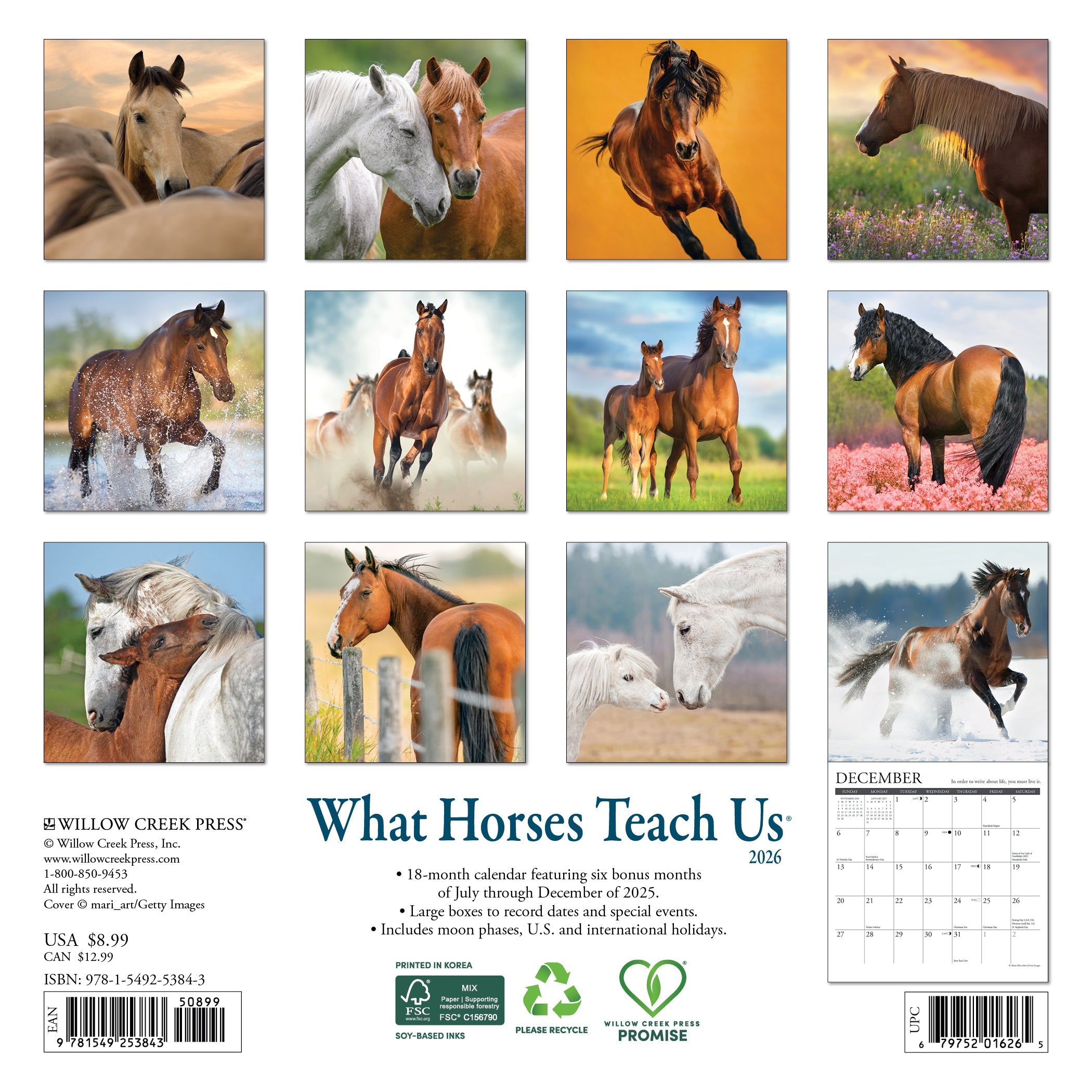 2026 What Horses Teach Us - Mini Wall Calendar