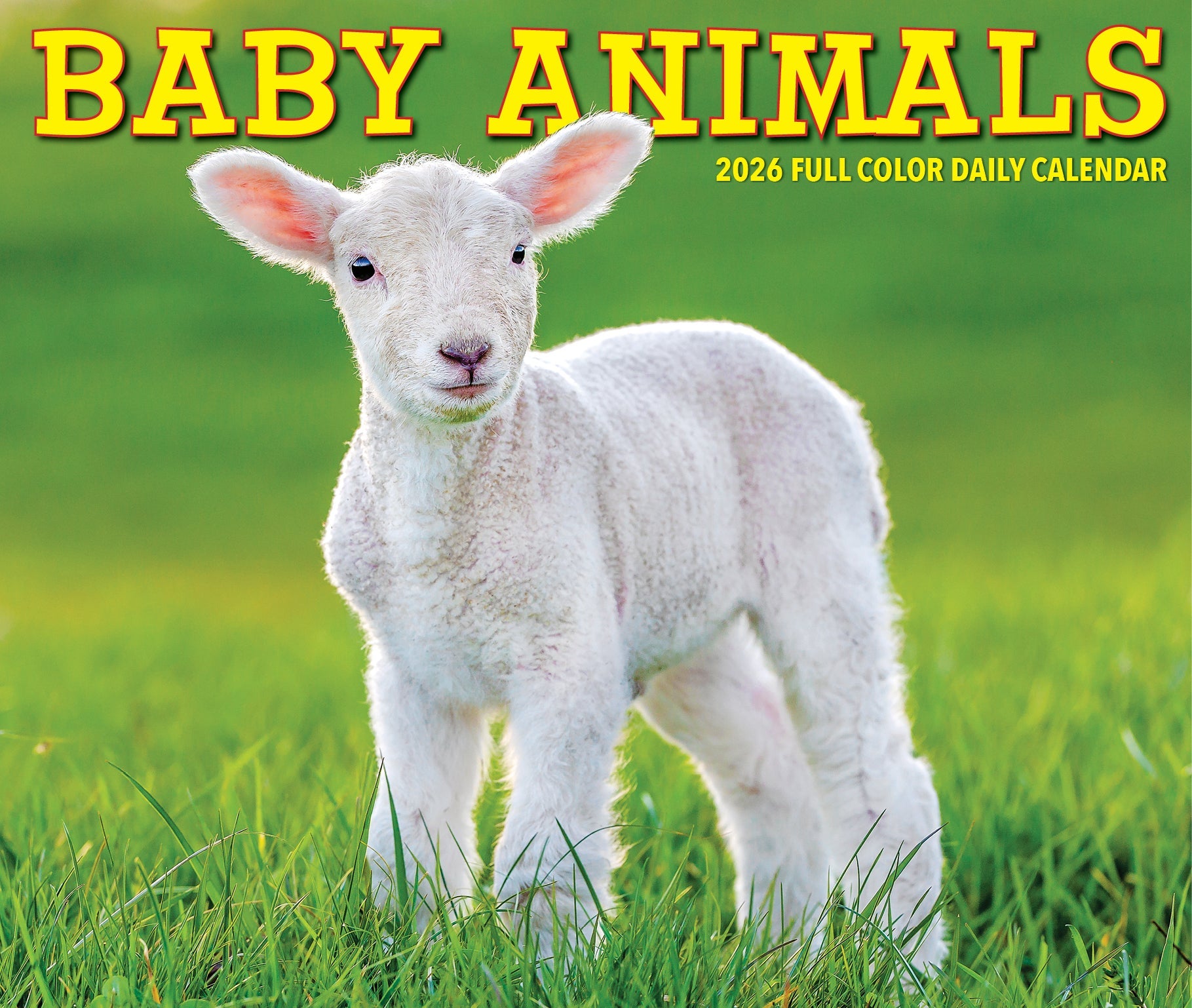 2026 Baby Animals - Boxed Page-A-Day Calendar