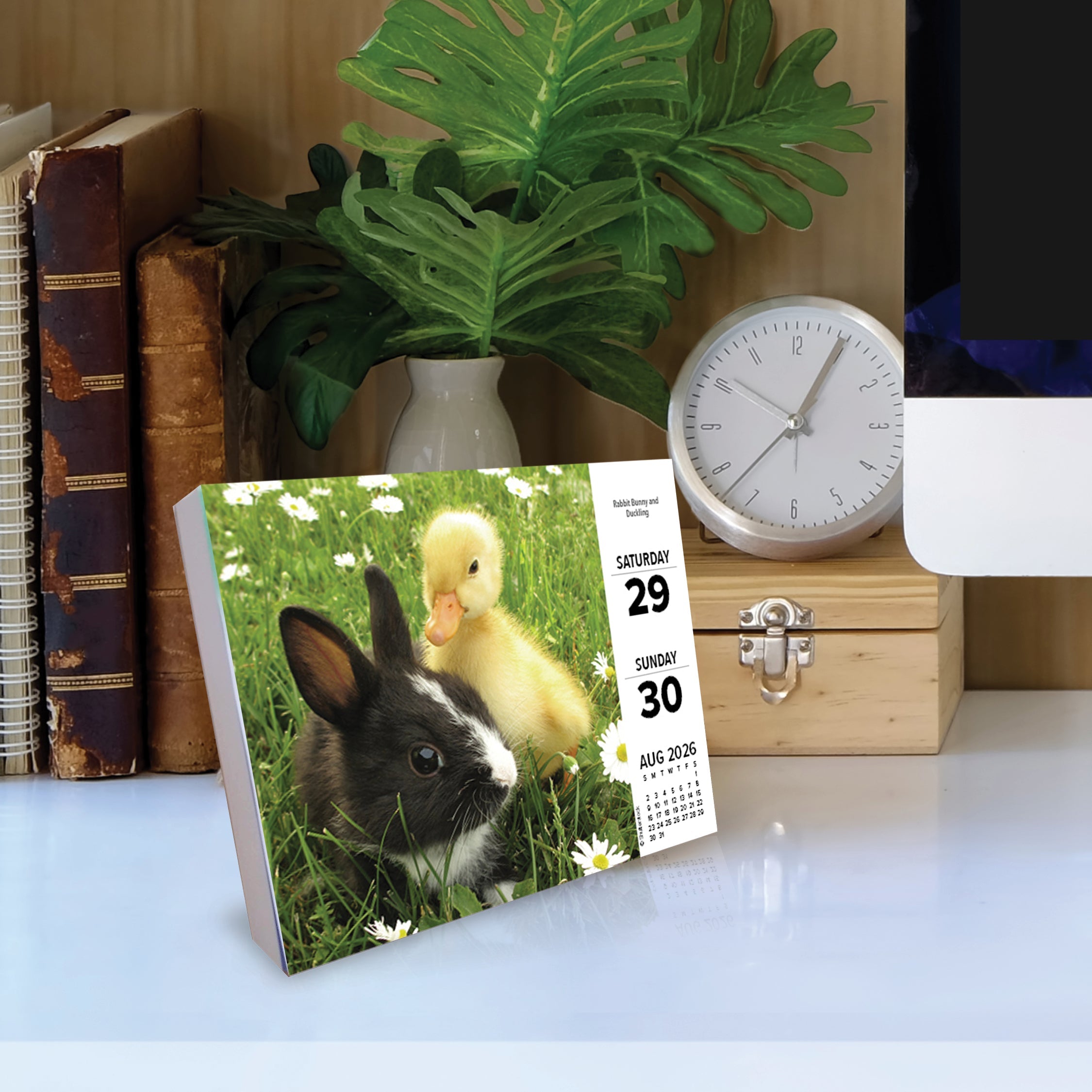2026 Baby Animals - Boxed Page-A-Day Calendar