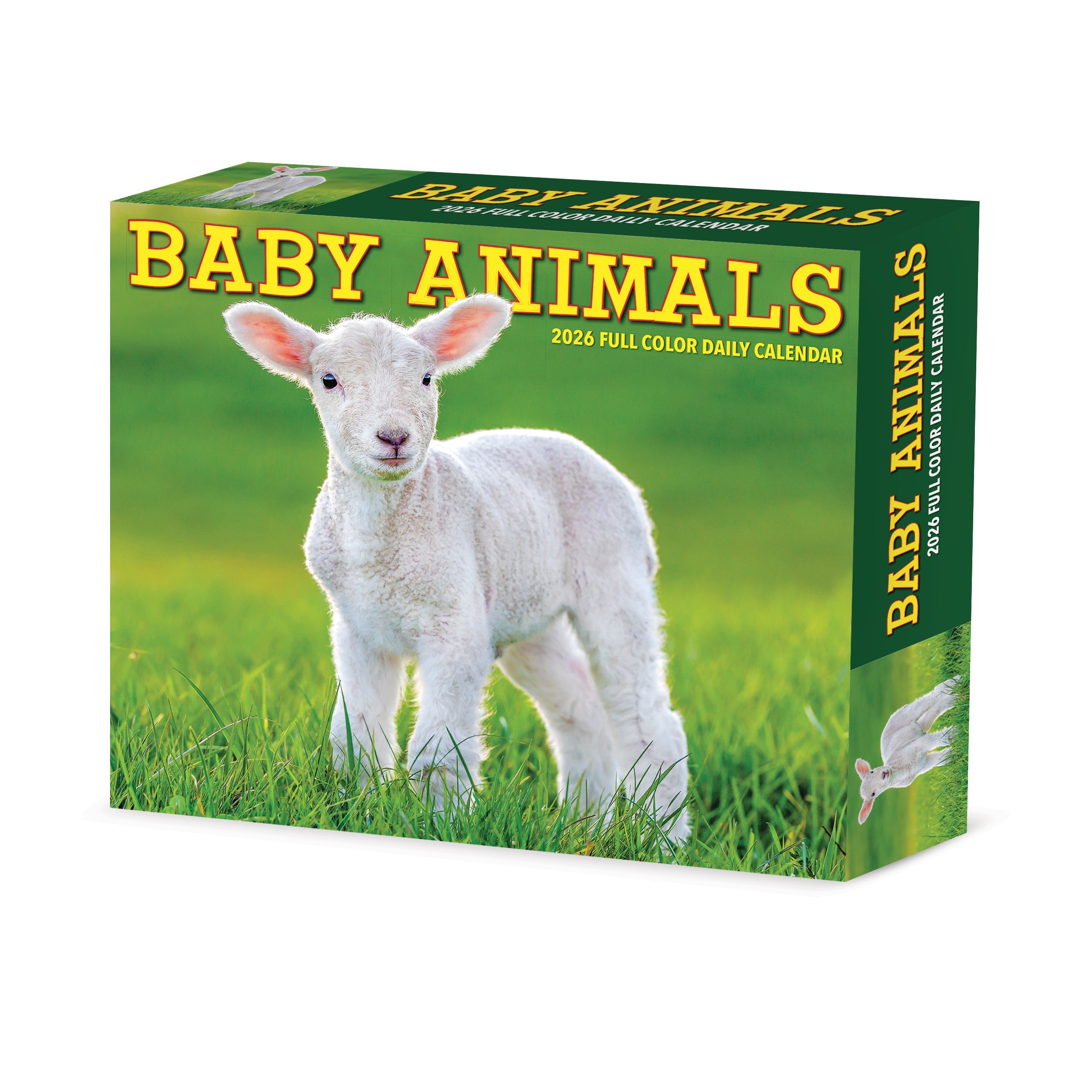 2026 Baby Animals - Boxed Page-A-Day Calendar