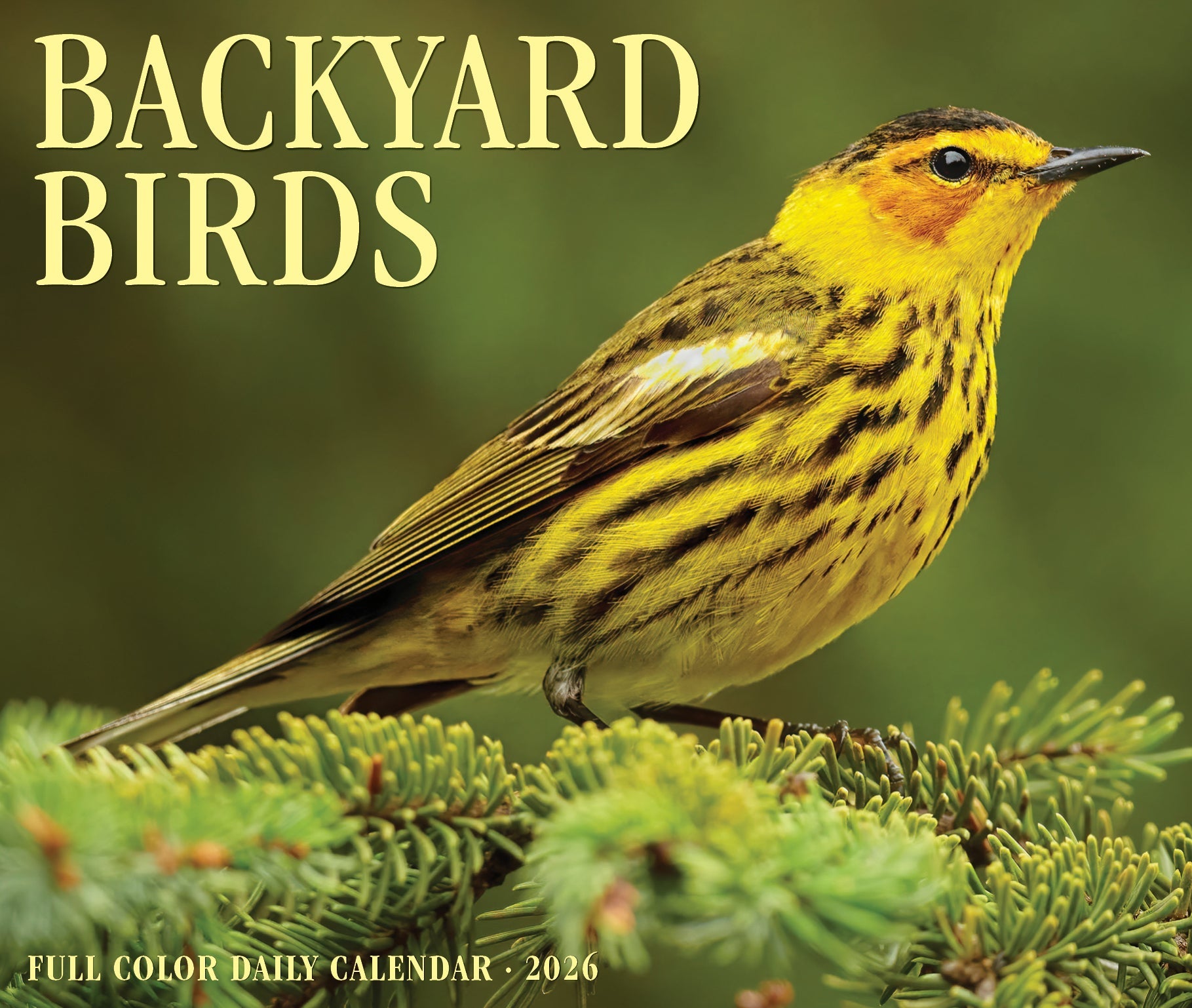 2026 Backyard Birds - Boxed Page-A-Day Calendar