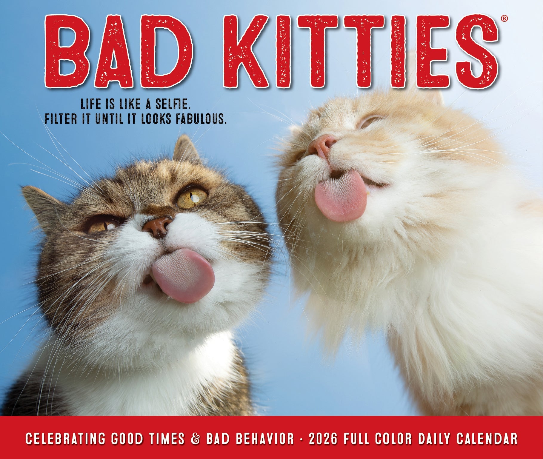 2026 Bad Kitties - Boxed Page-A-Day Calendar