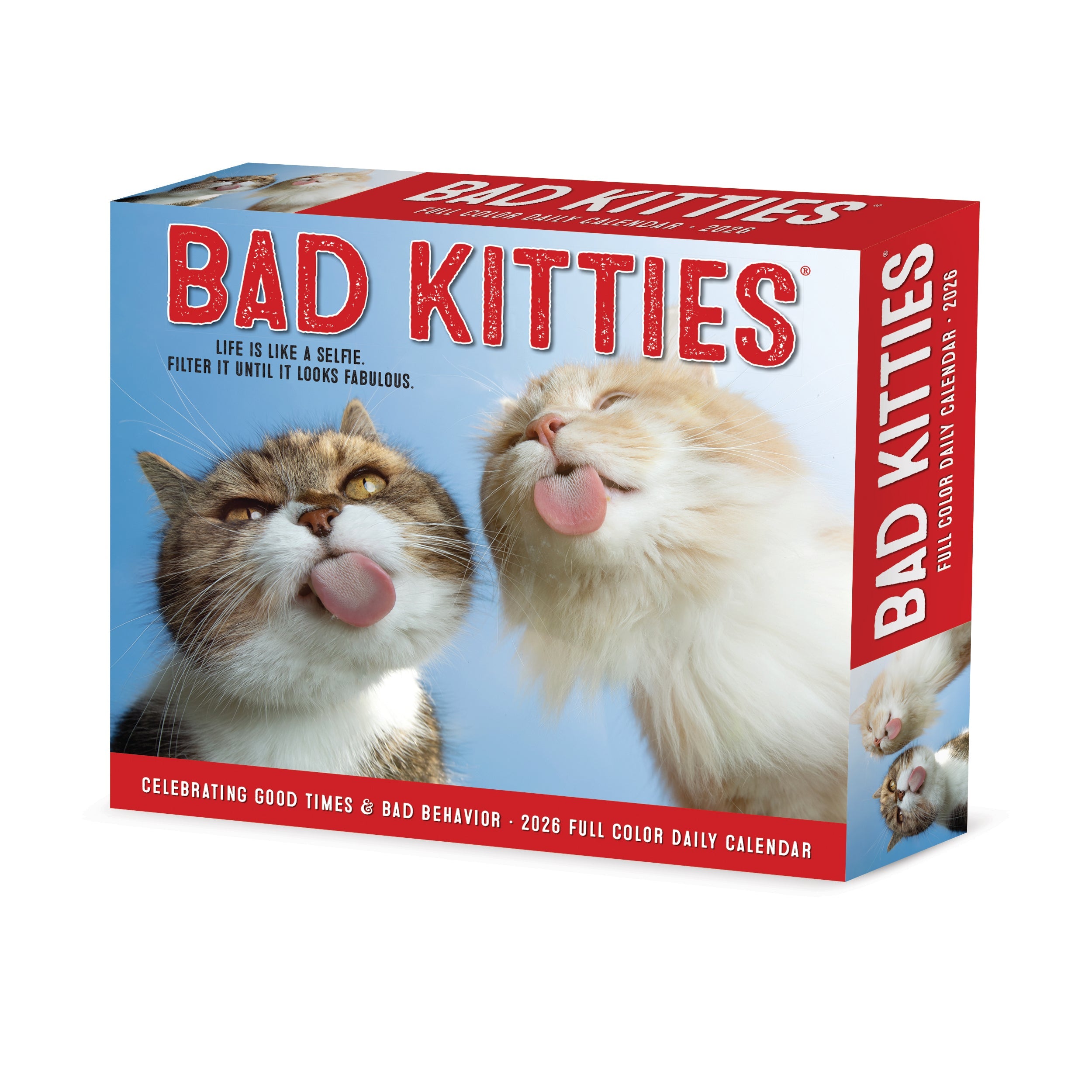 2026 Bad Kitties - Boxed Page-A-Day Calendar