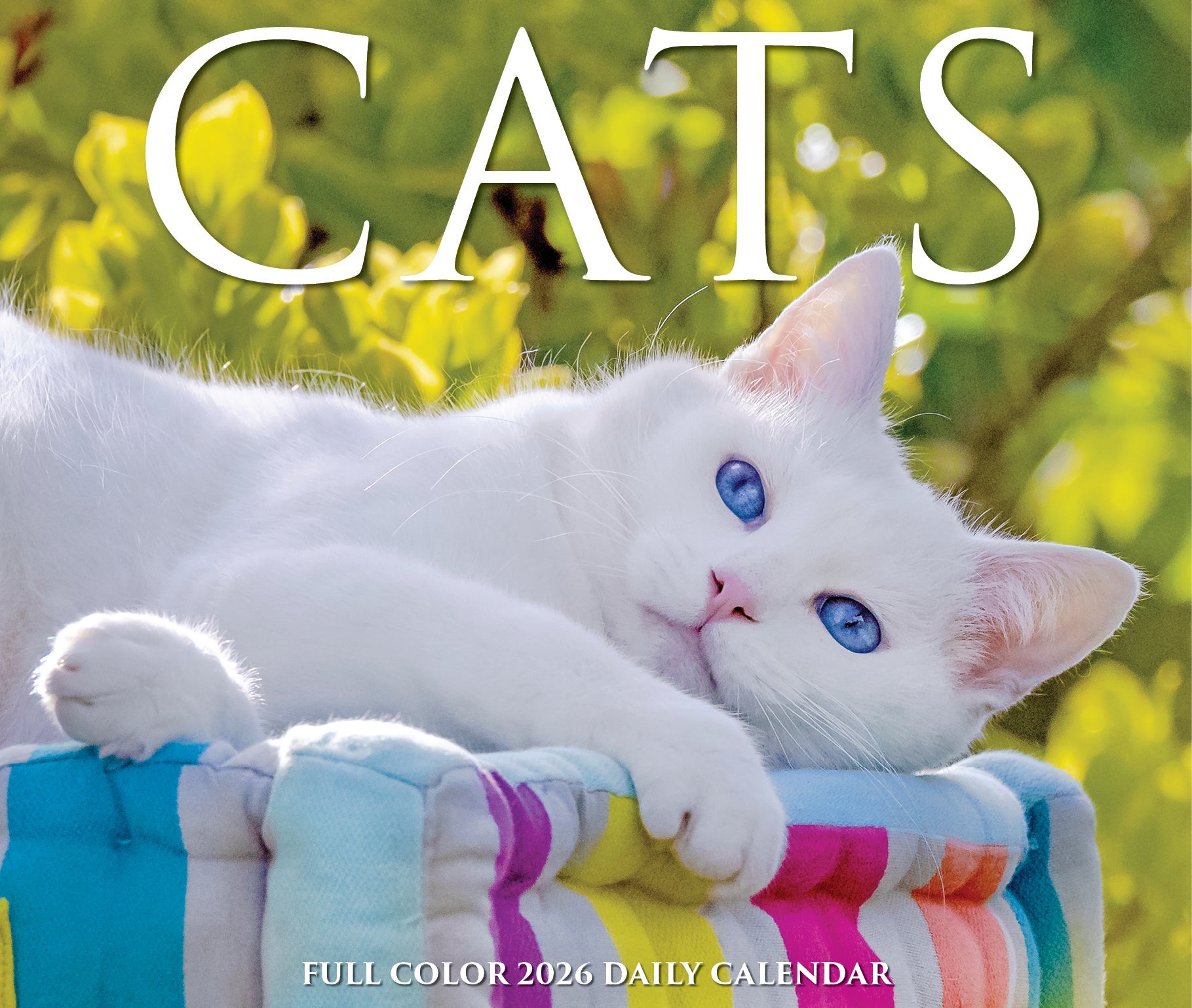 2026 Cats - Boxed Page-A-Day Calendar