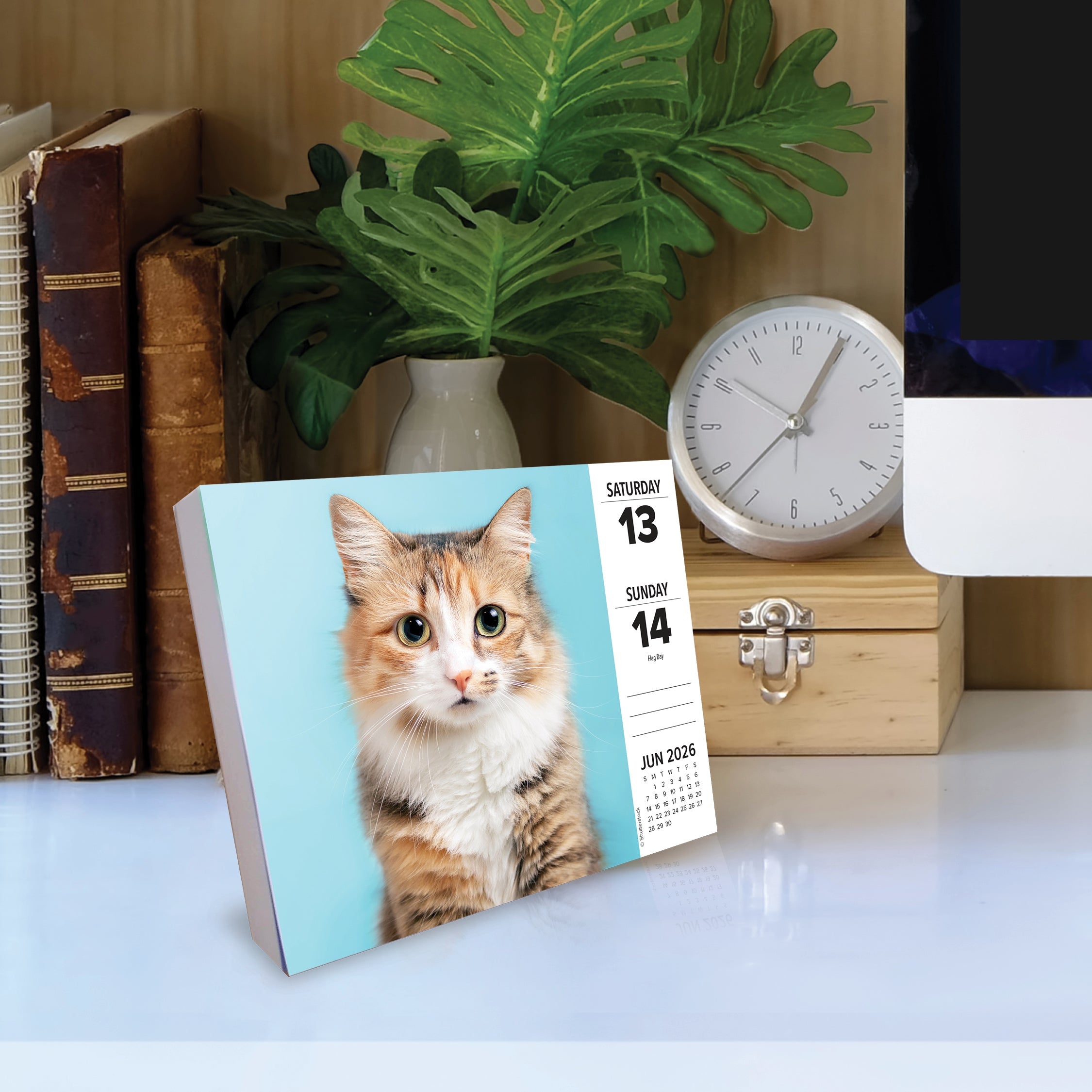 2026 Cats - Boxed Page-A-Day Calendar