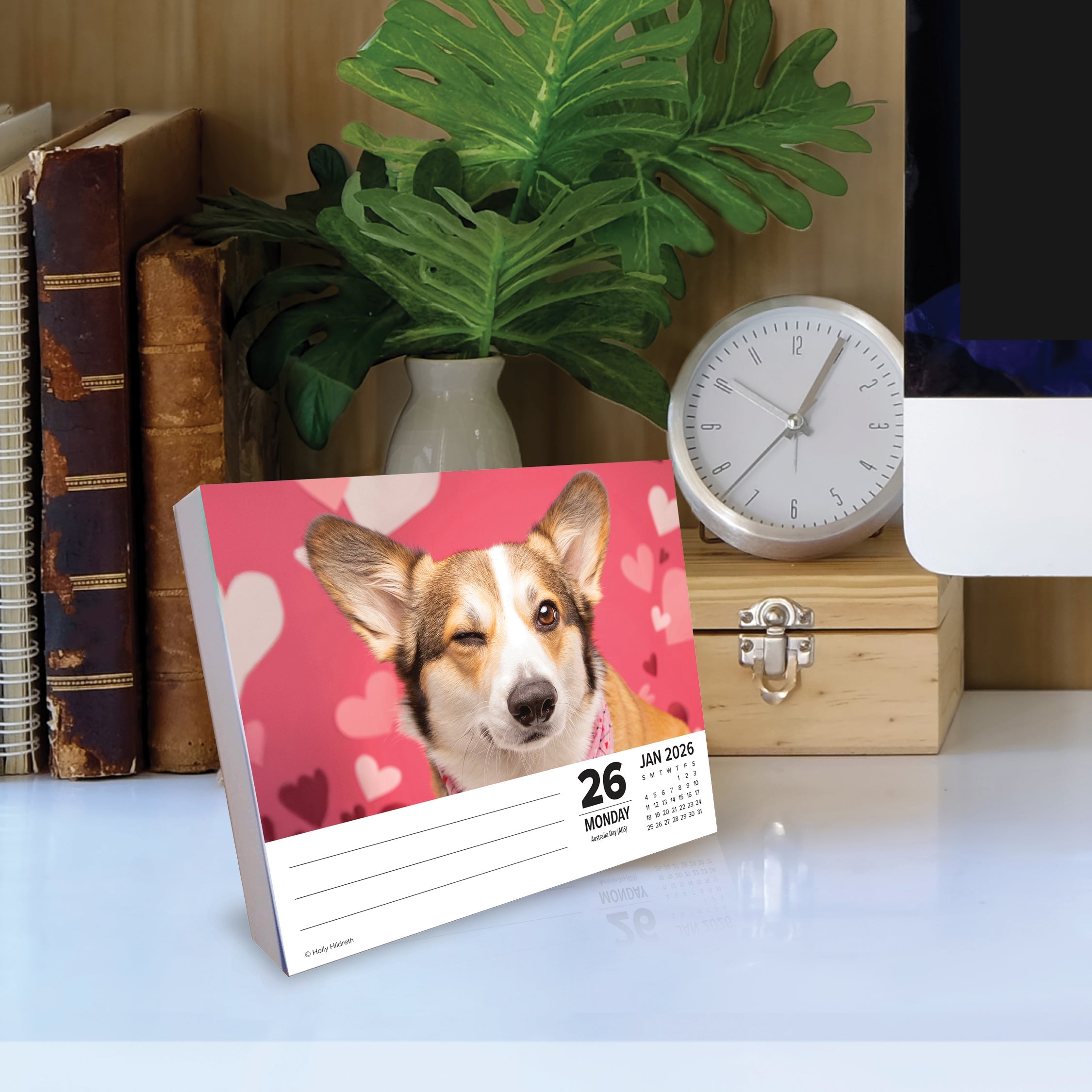 2026 Corgis - Boxed Page-A-Day Calendar