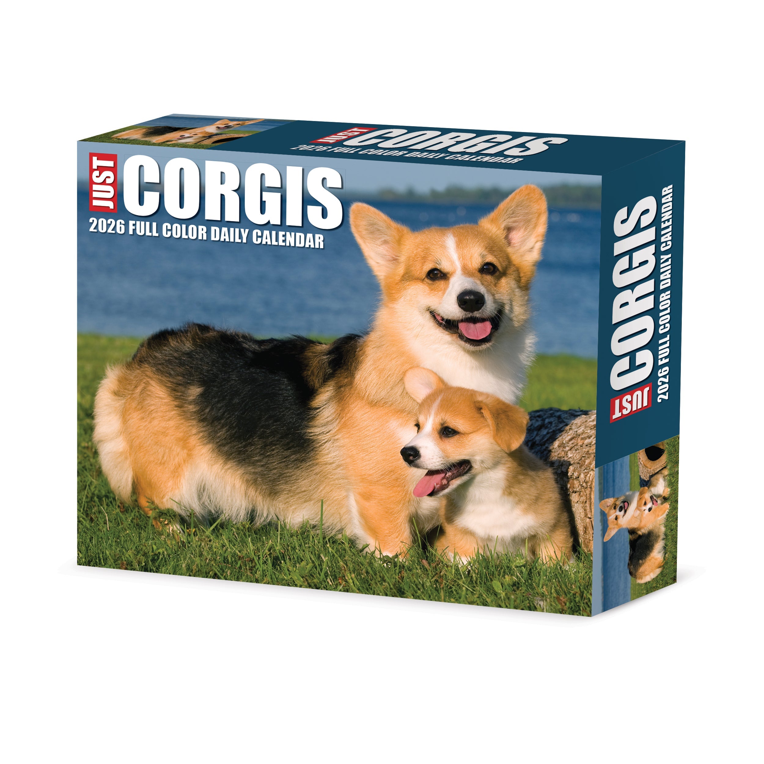 2026 Corgis - Boxed Page-A-Day Calendar