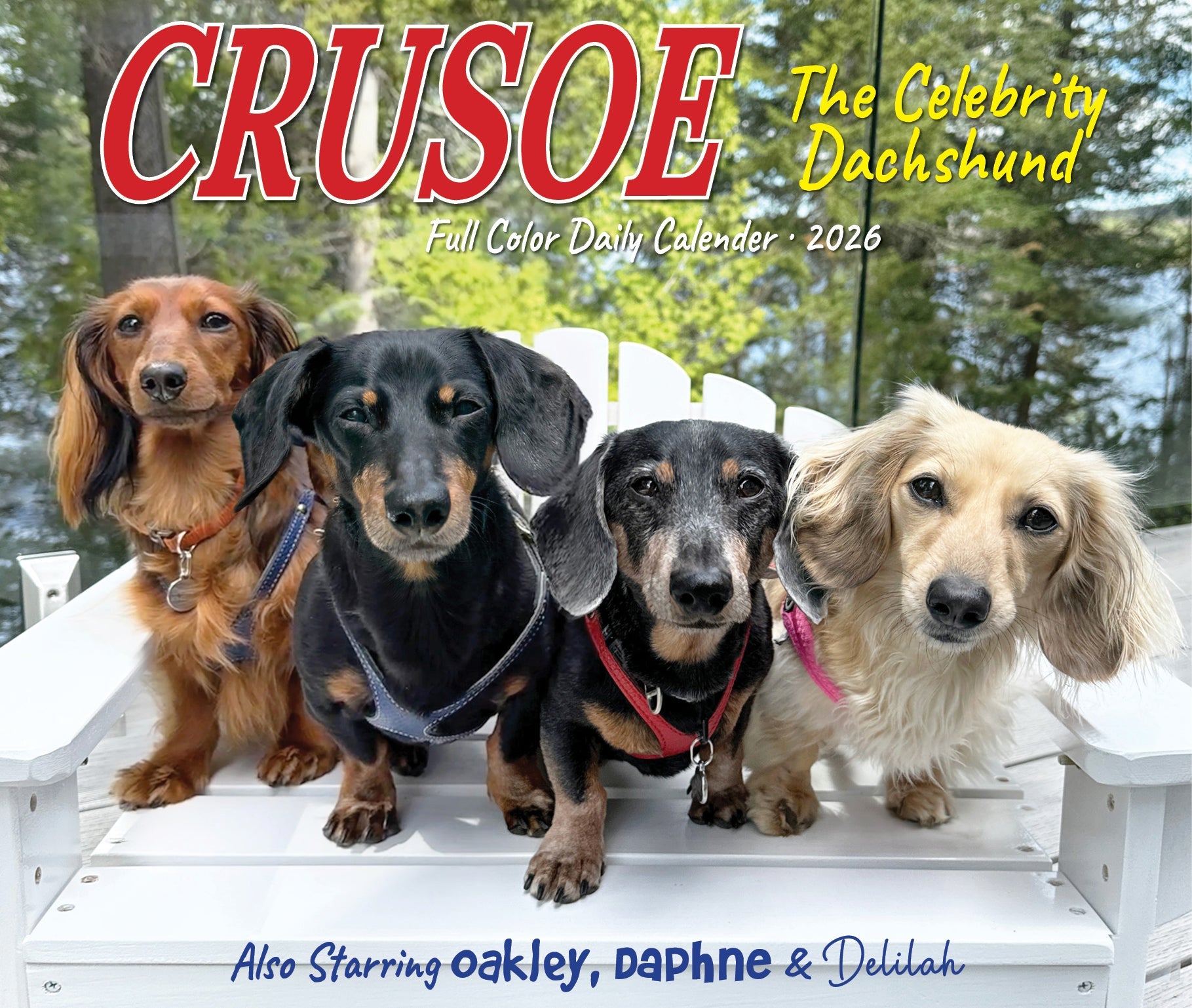 2026 Crusoe the Celebrity Dachshund - Boxed Page-A-Day Calendar