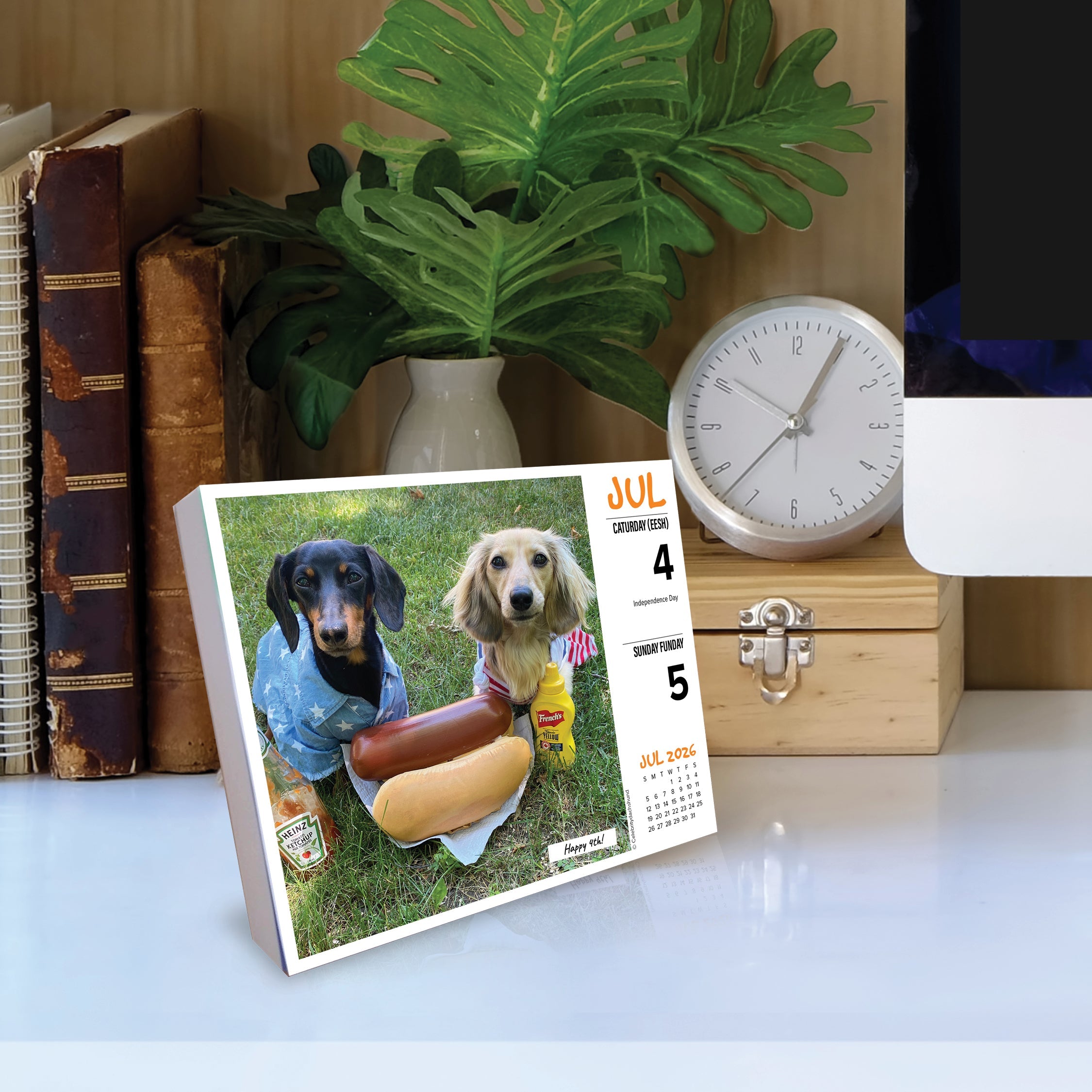 2026 Crusoe the Celebrity Dachshund - Boxed Page-A-Day Calendar