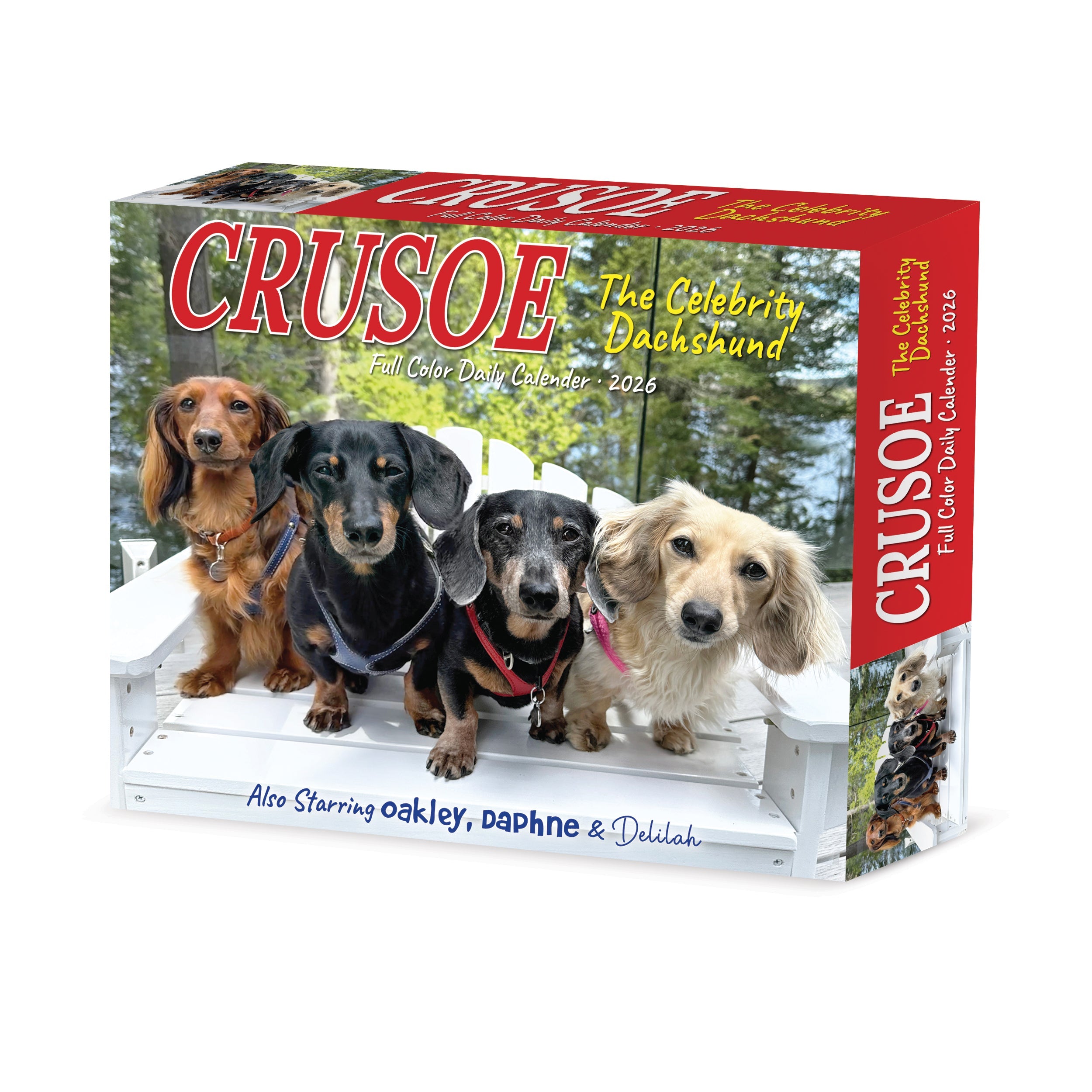 2026 Crusoe the Celebrity Dachshund - Boxed Page-A-Day Calendar