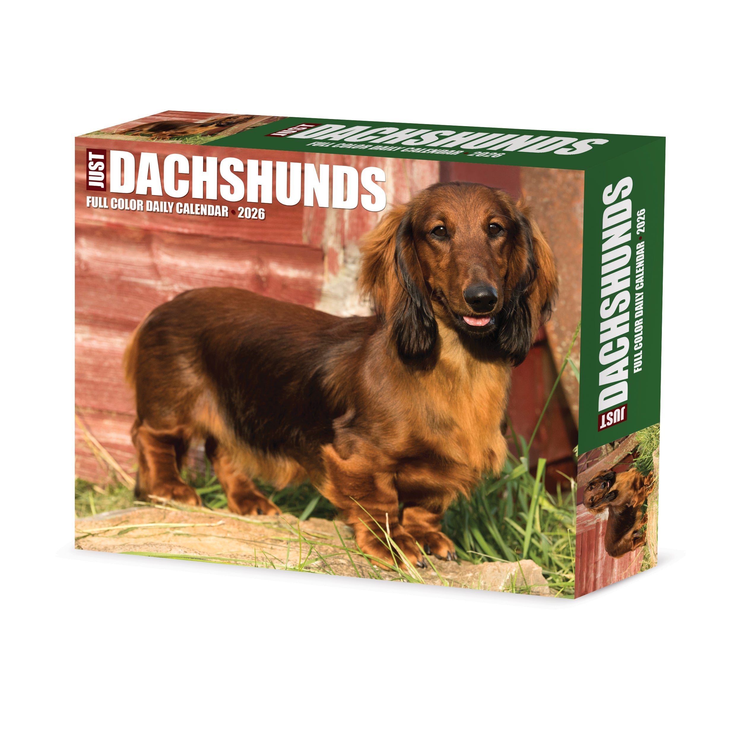 2026 Dachshunds - Boxed Page-A-Day Calendar