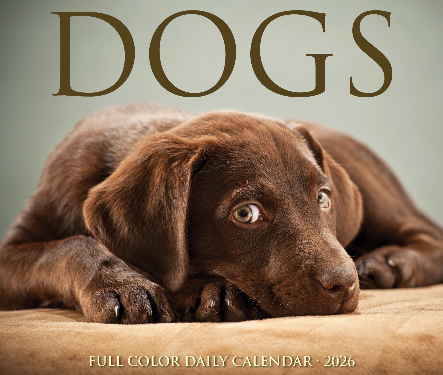 2026 Dogs - Cover Change - Boxed Page-A-Day Calendar