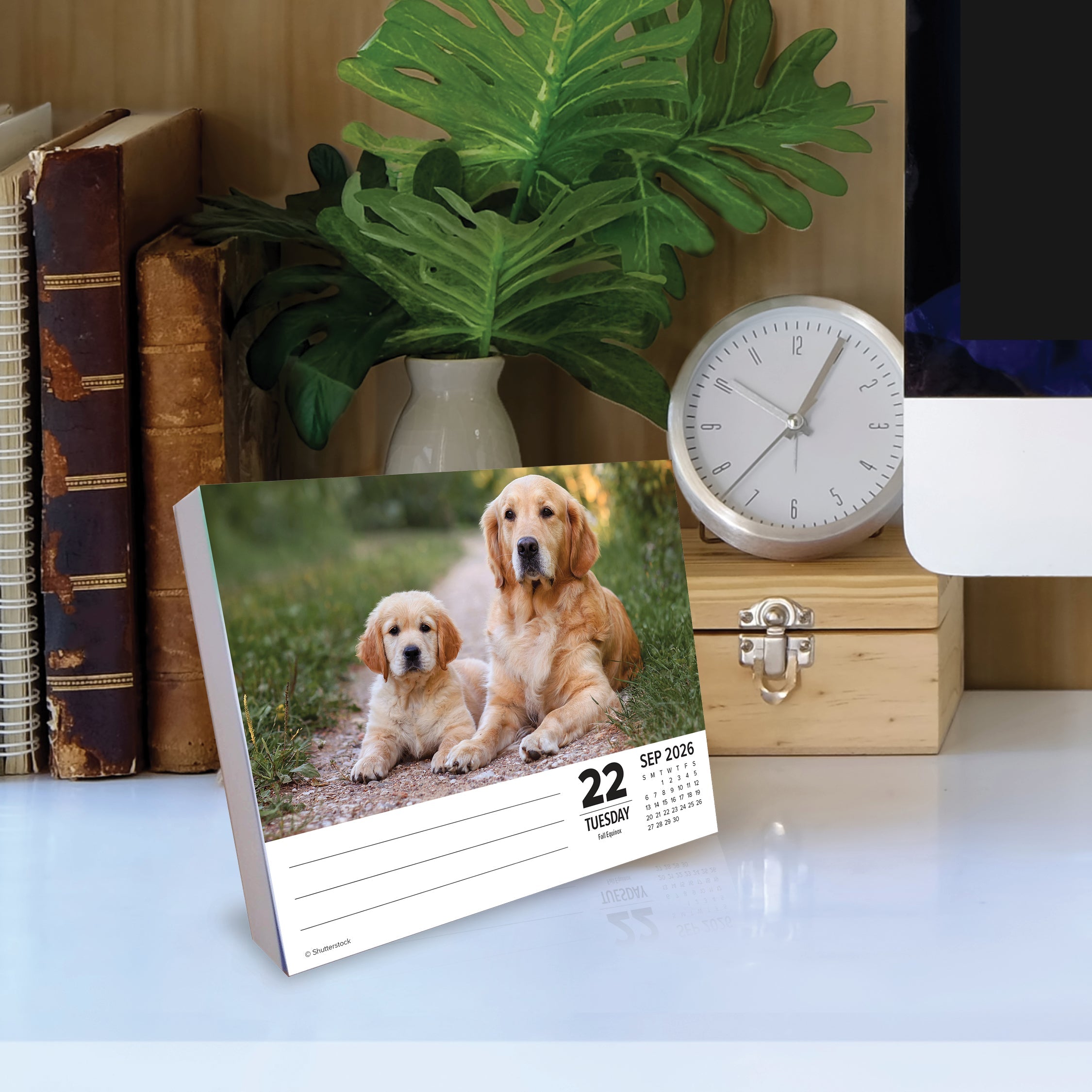2026 Dogs - Cover Change - Boxed Page-A-Day Calendar