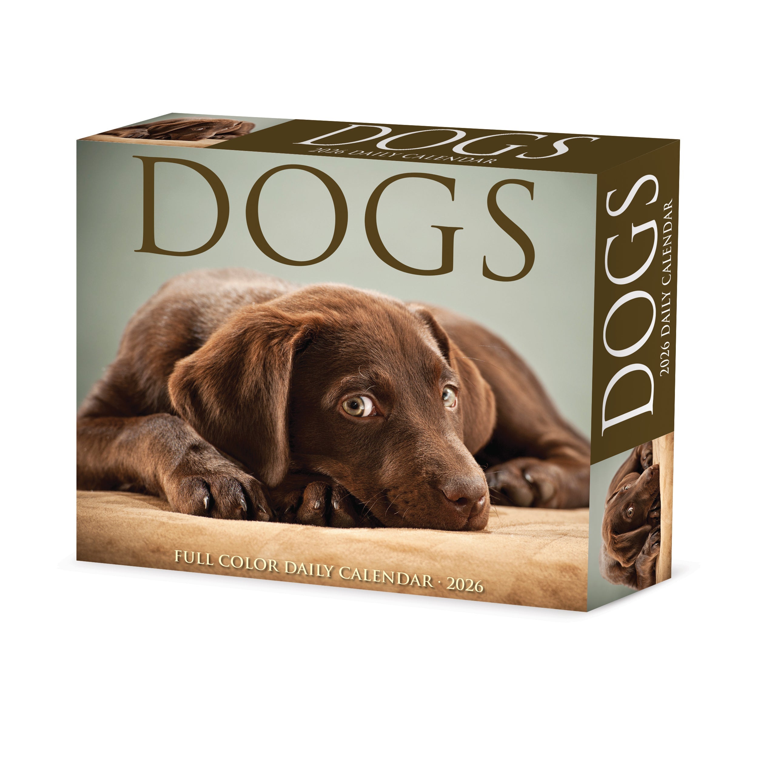 2026 Dogs - Cover Change - Boxed Page-A-Day Calendar