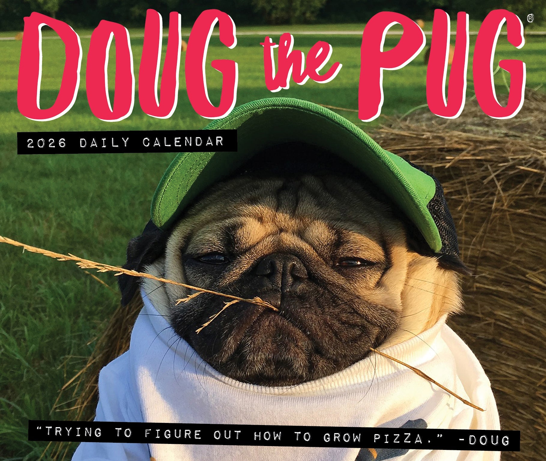 2026 Doug the Pug -USA - Boxed Page-A-Day Calendar
