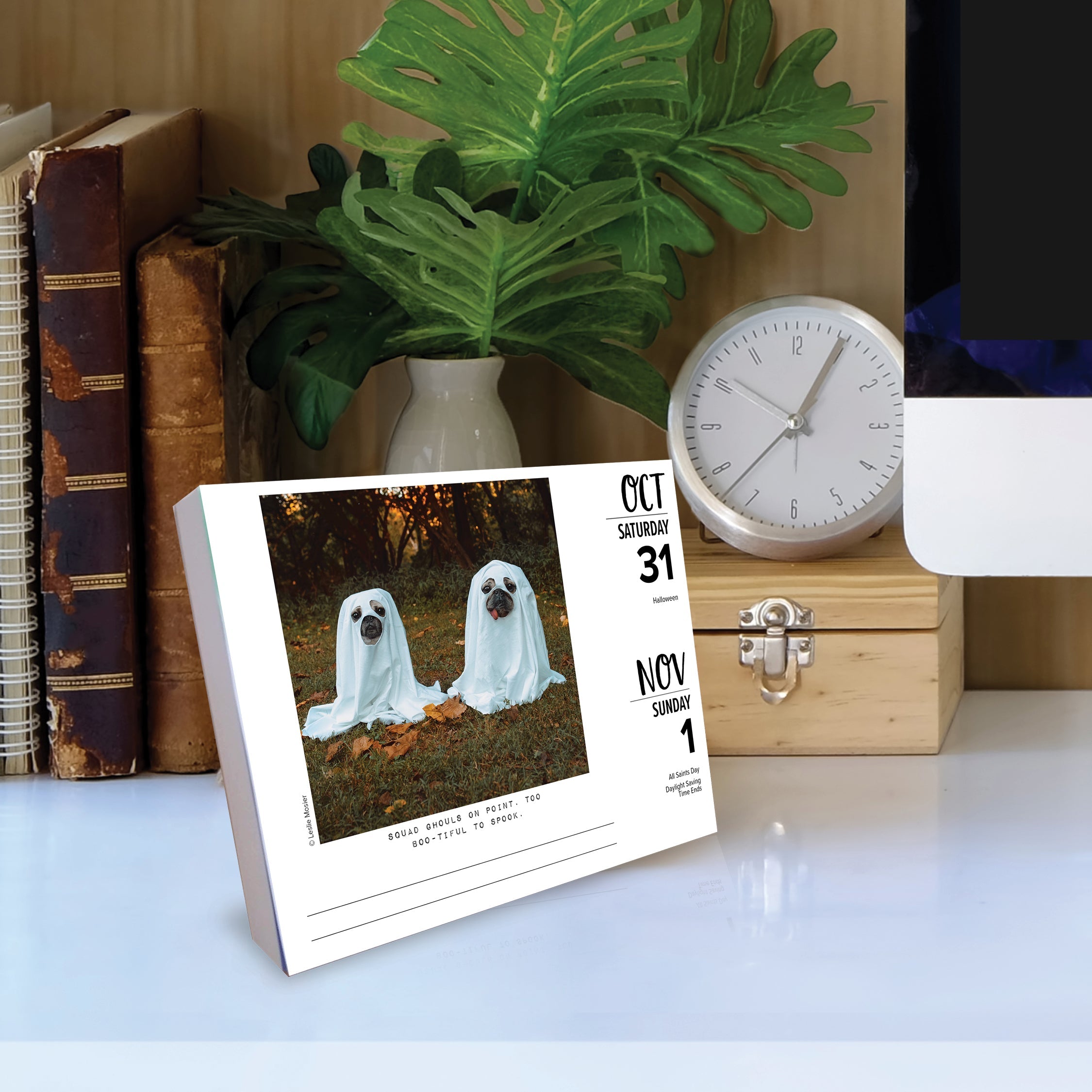 2026 Doug the Pug -USA - Boxed Page-A-Day Calendar