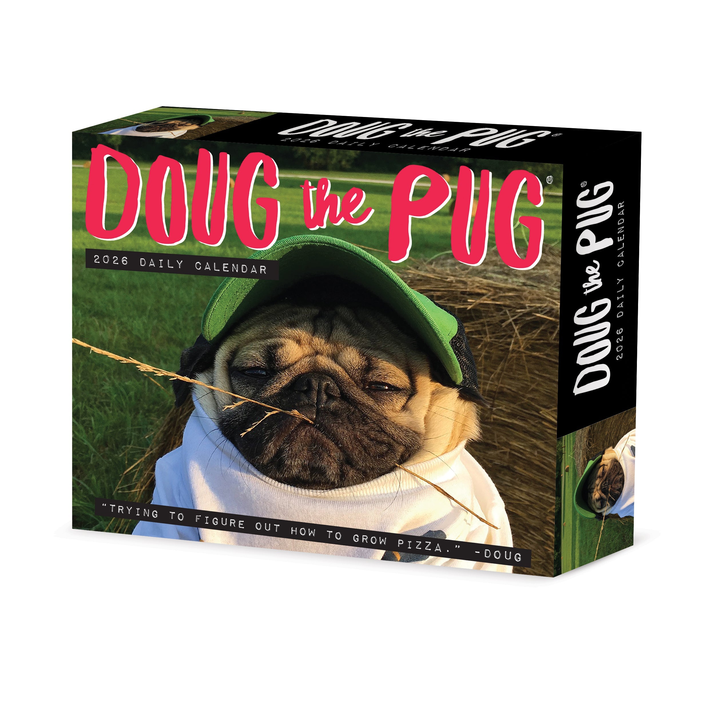 2026 Doug the Pug -USA - Boxed Page-A-Day Calendar