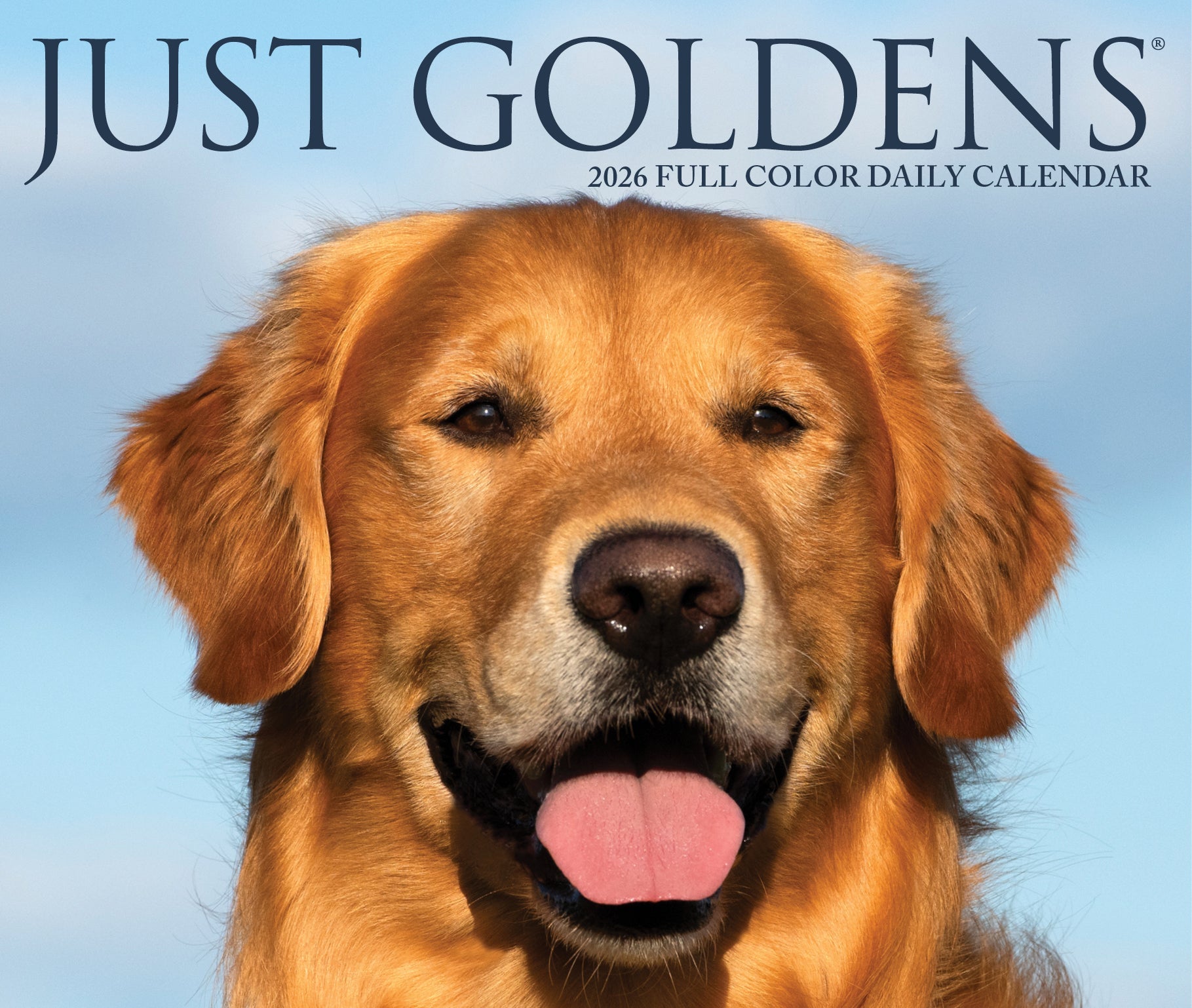 2026 Goldens - Boxed Page-A-Day Calendar