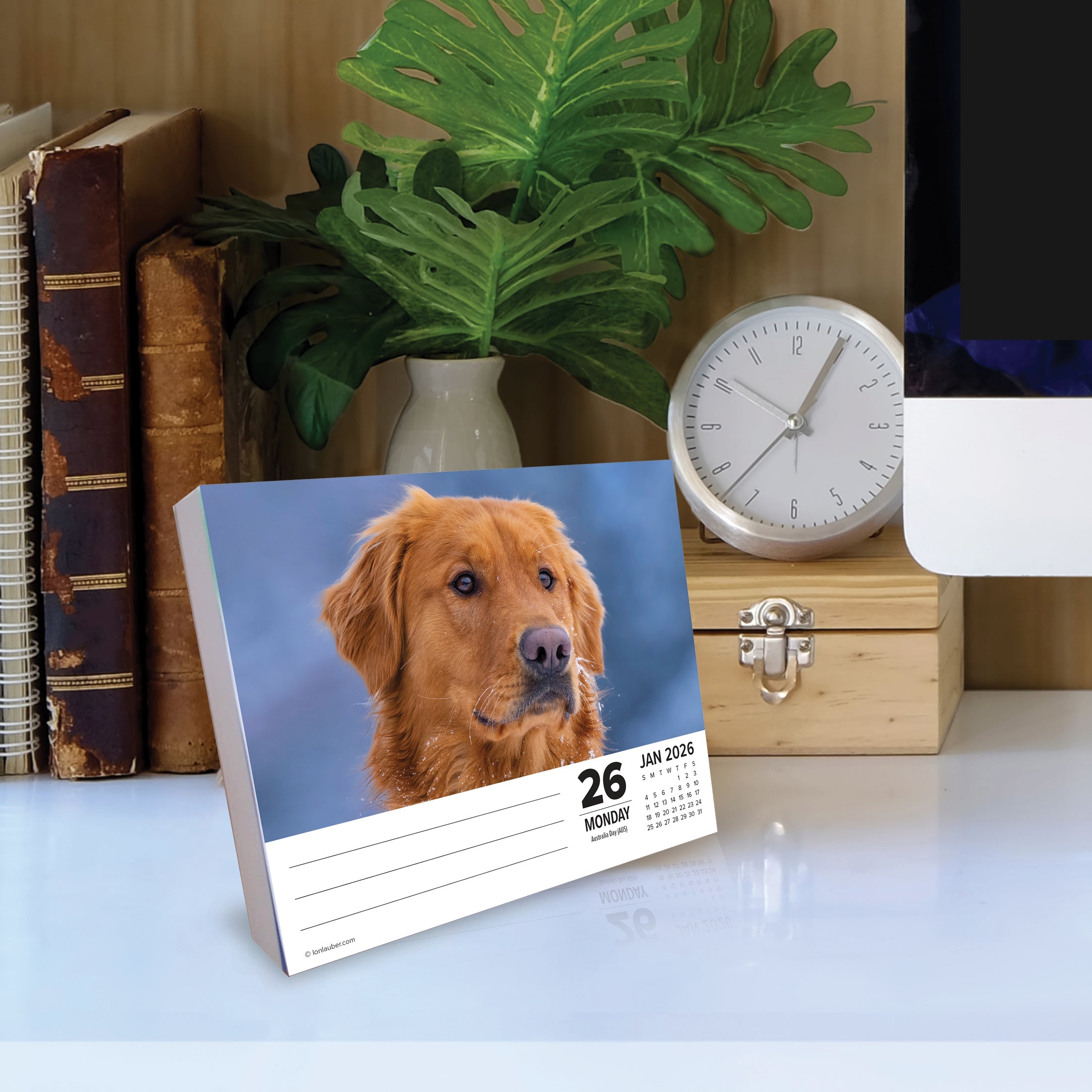 2026 Goldens - Boxed Page-A-Day Calendar