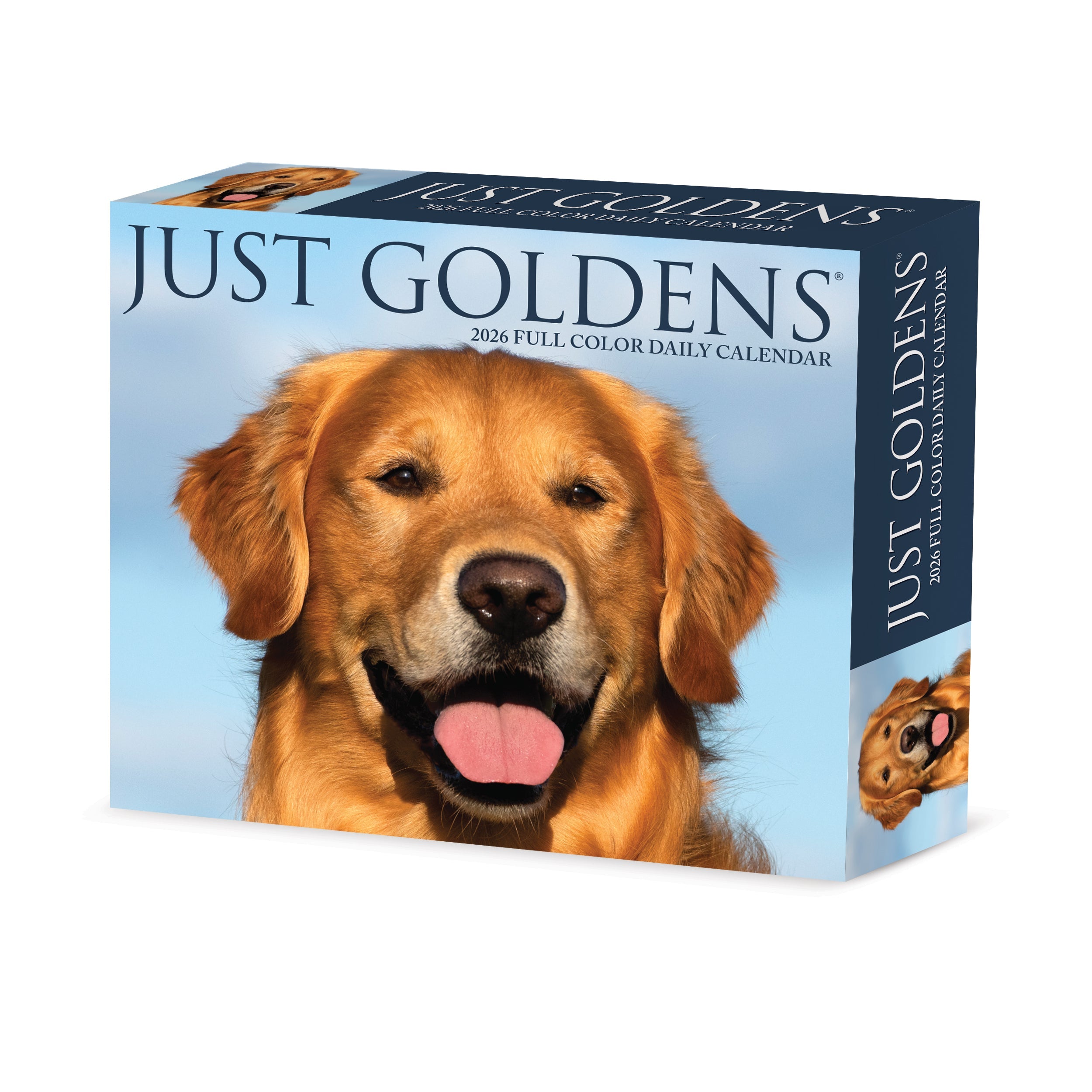 2026 Goldens - Boxed Page-A-Day Calendar