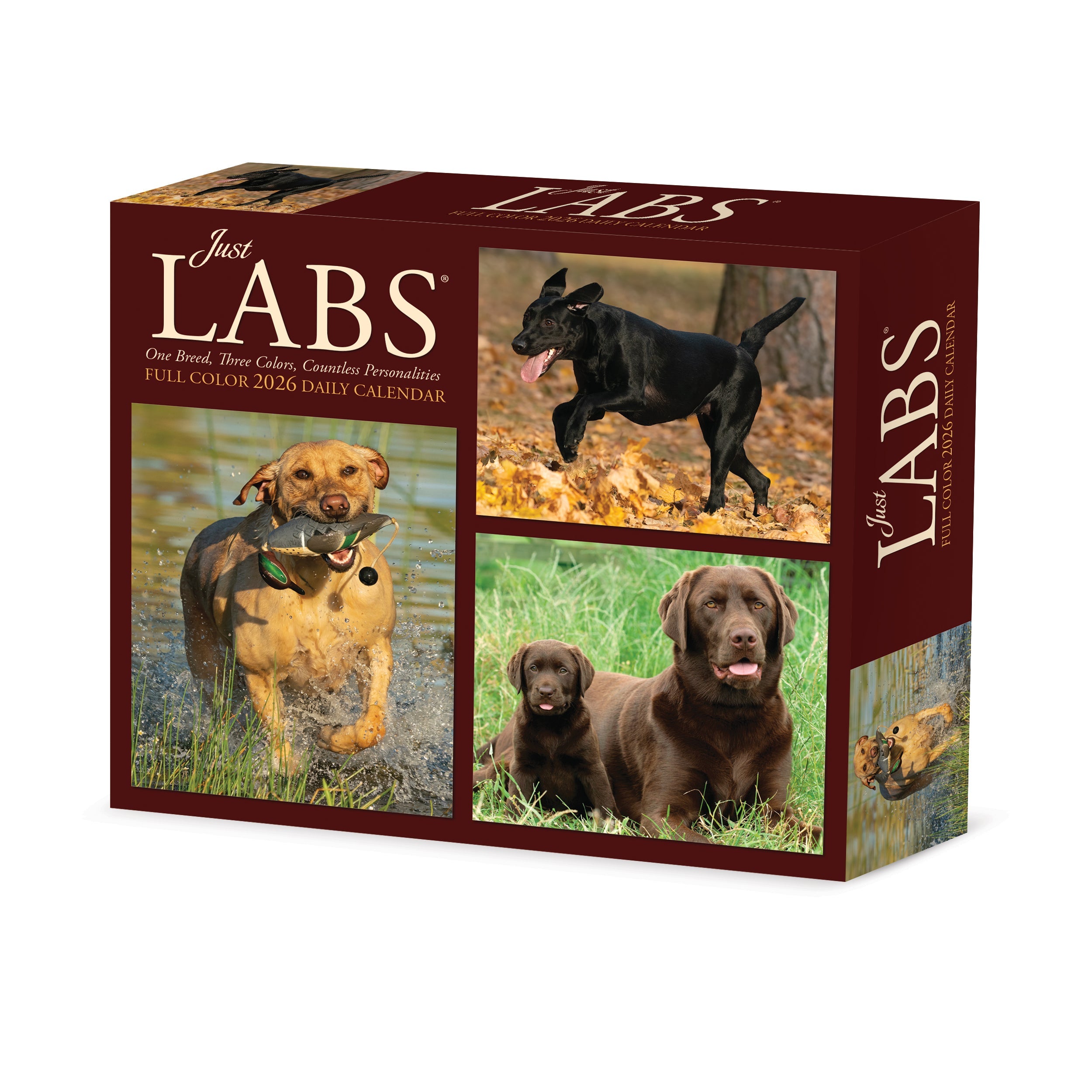 2026 Labs - Boxed Page-A-Day Calendar