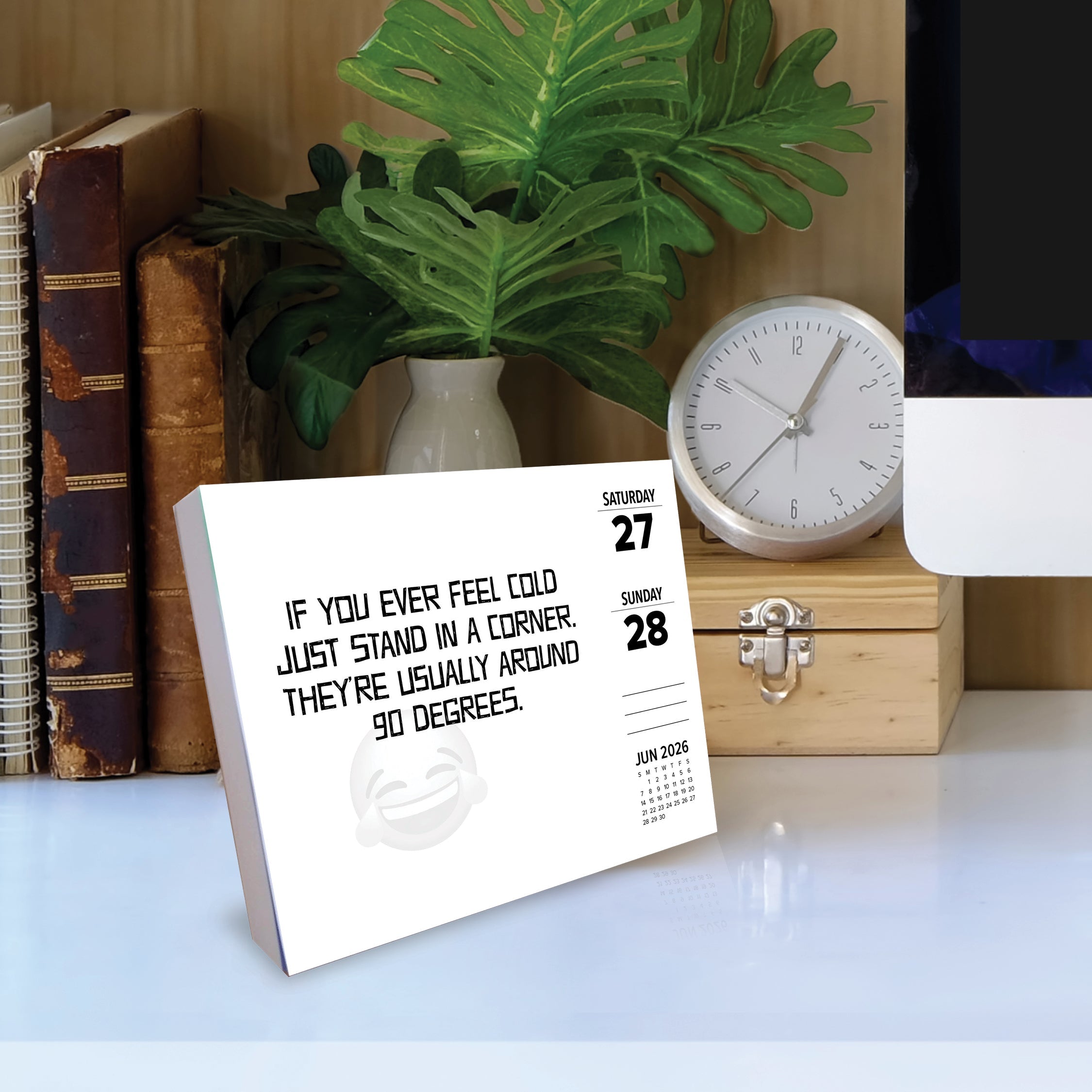 2026 LOL Jokes - Boxed Page-A-Day Calendar