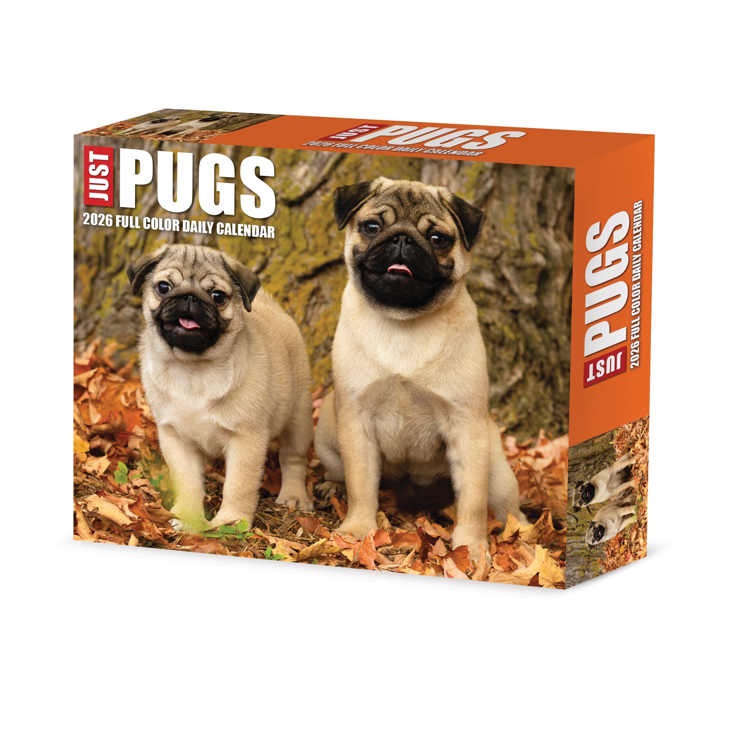 2026 Pugs - Boxed Page-A-Day Calendar