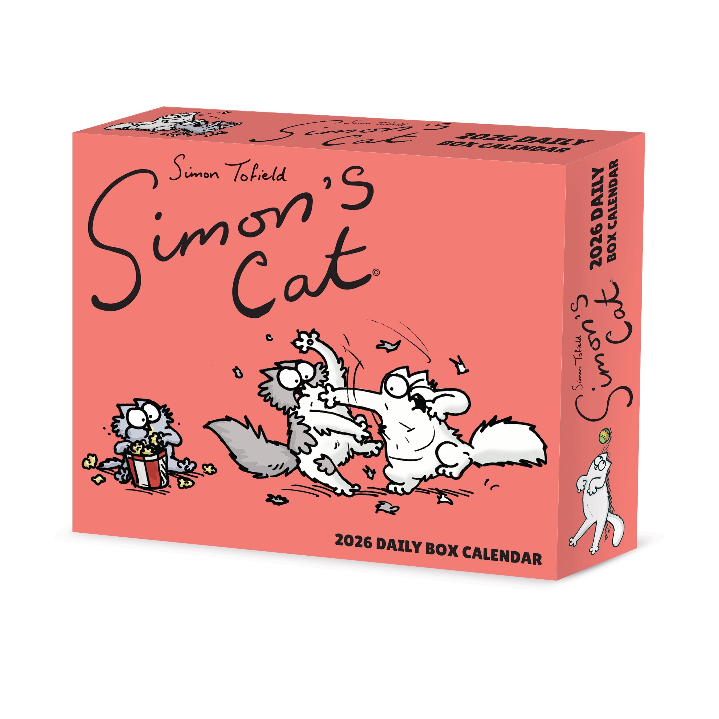 2026 Simon's Cat - Boxed Page-A-Day Calendar