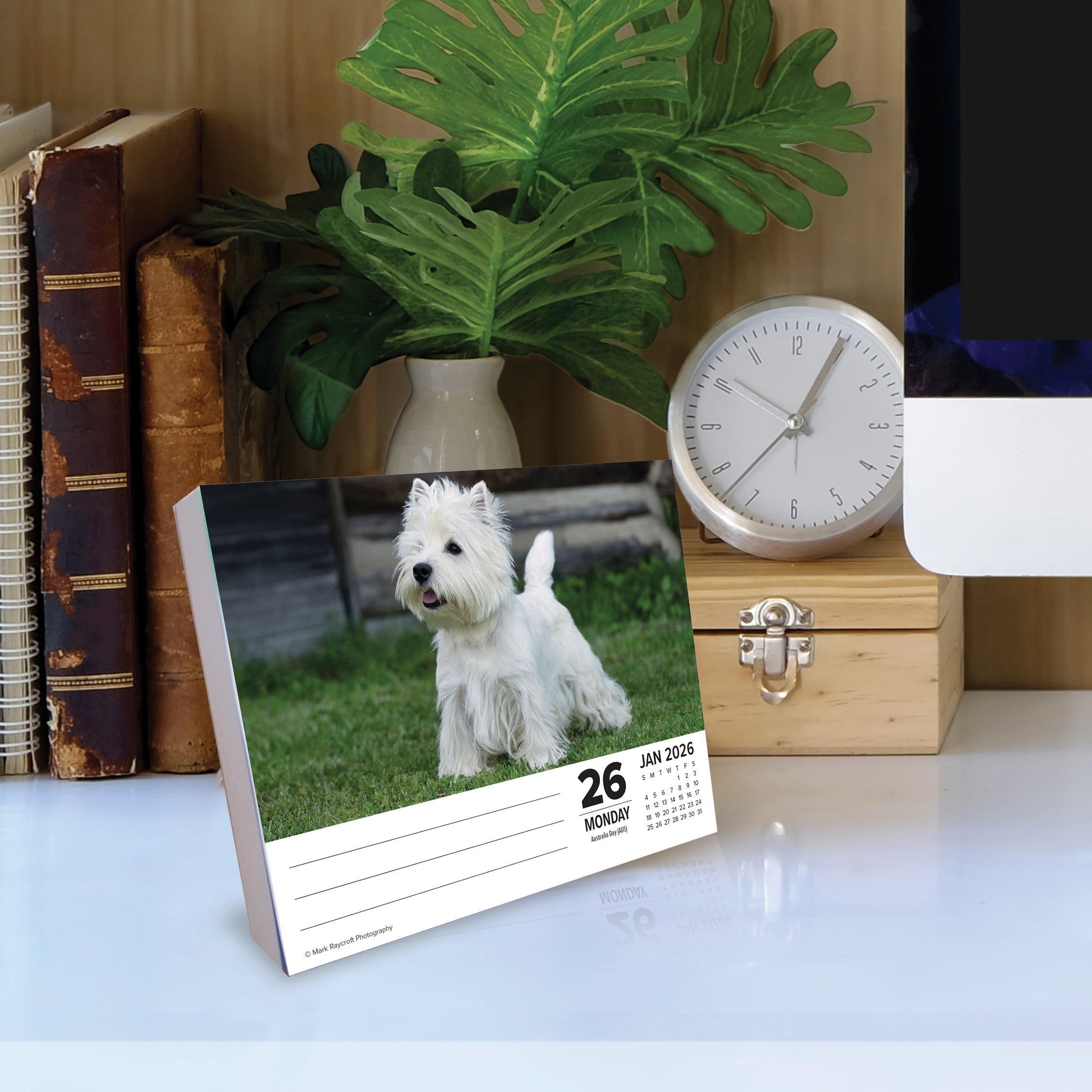 2026 Westies - Boxed Page-A-Day Calendar