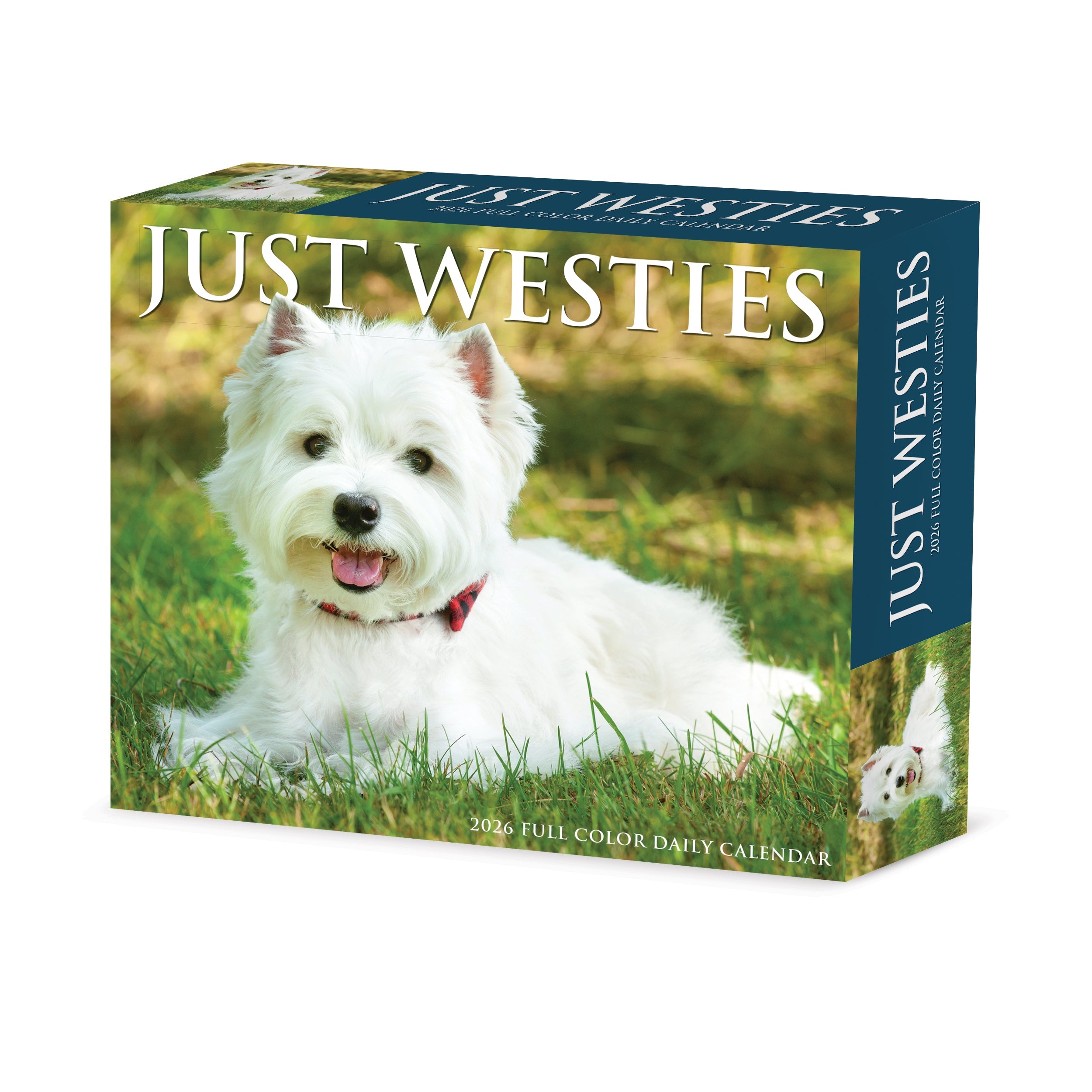 2026 Westies - Boxed Page-A-Day Calendar