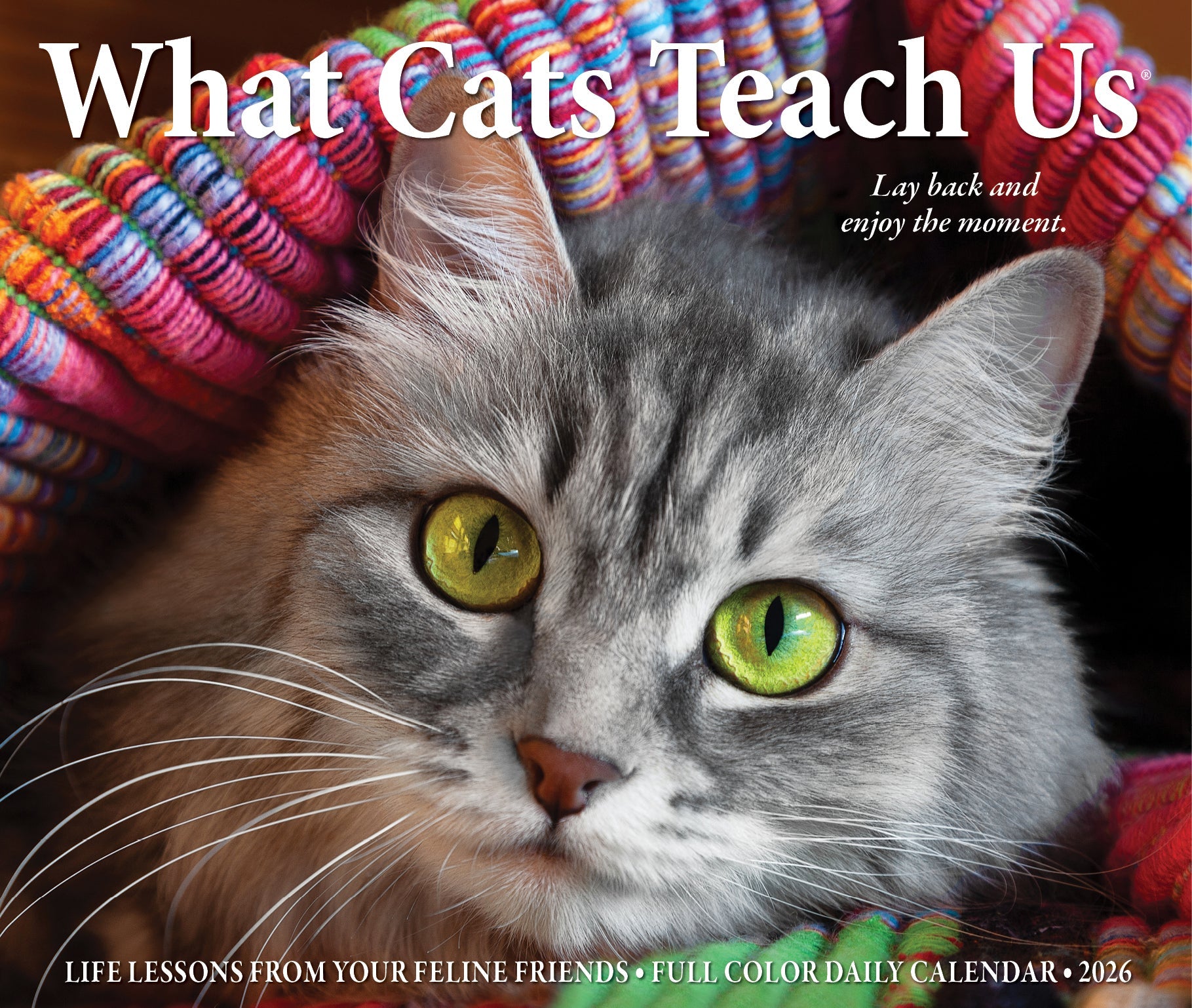2026 What Cats Teach Us - Boxed Page-A-Day Calendar